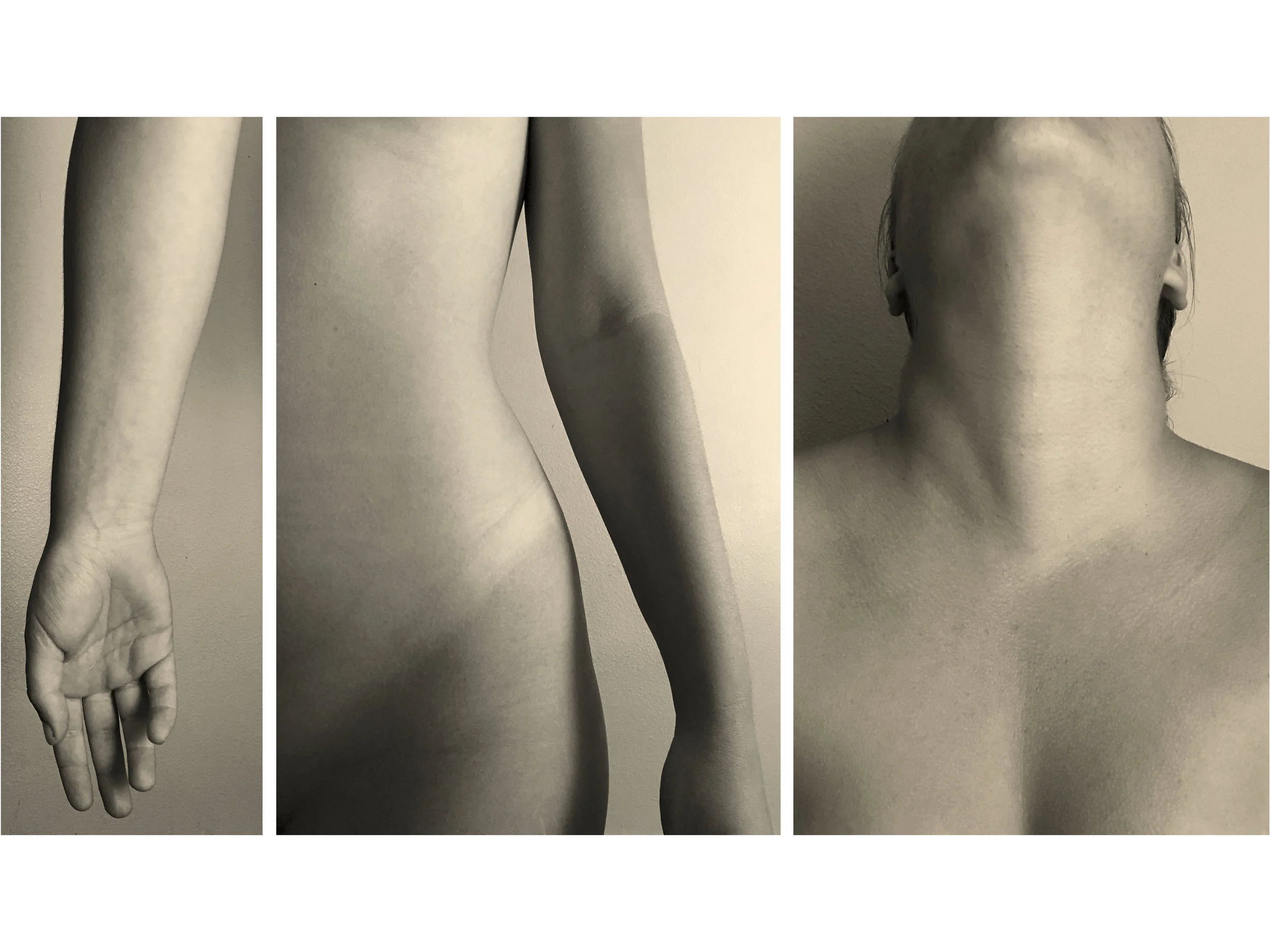 body1.jpg