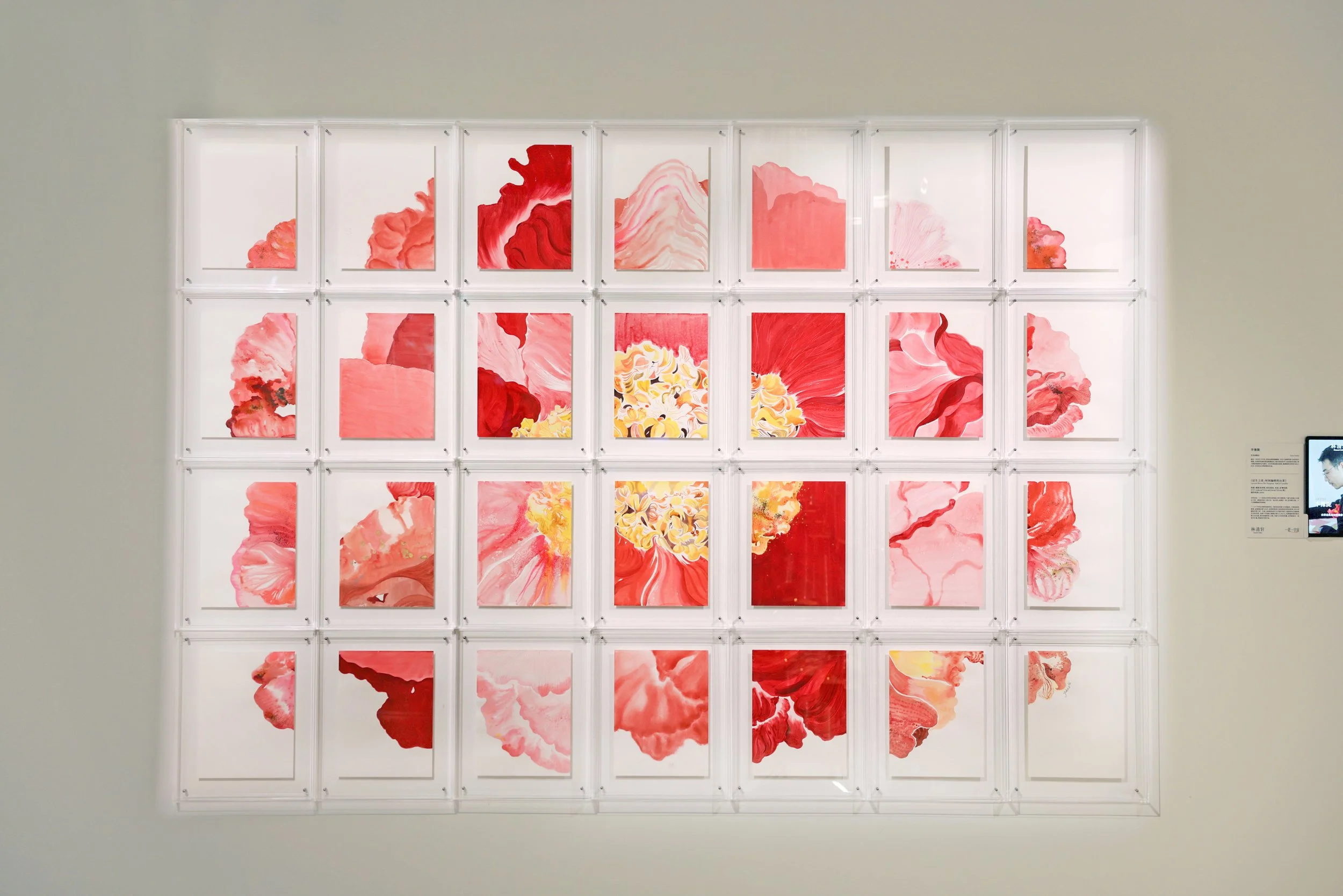 Exhibition | The Temporal Shift of Camellia