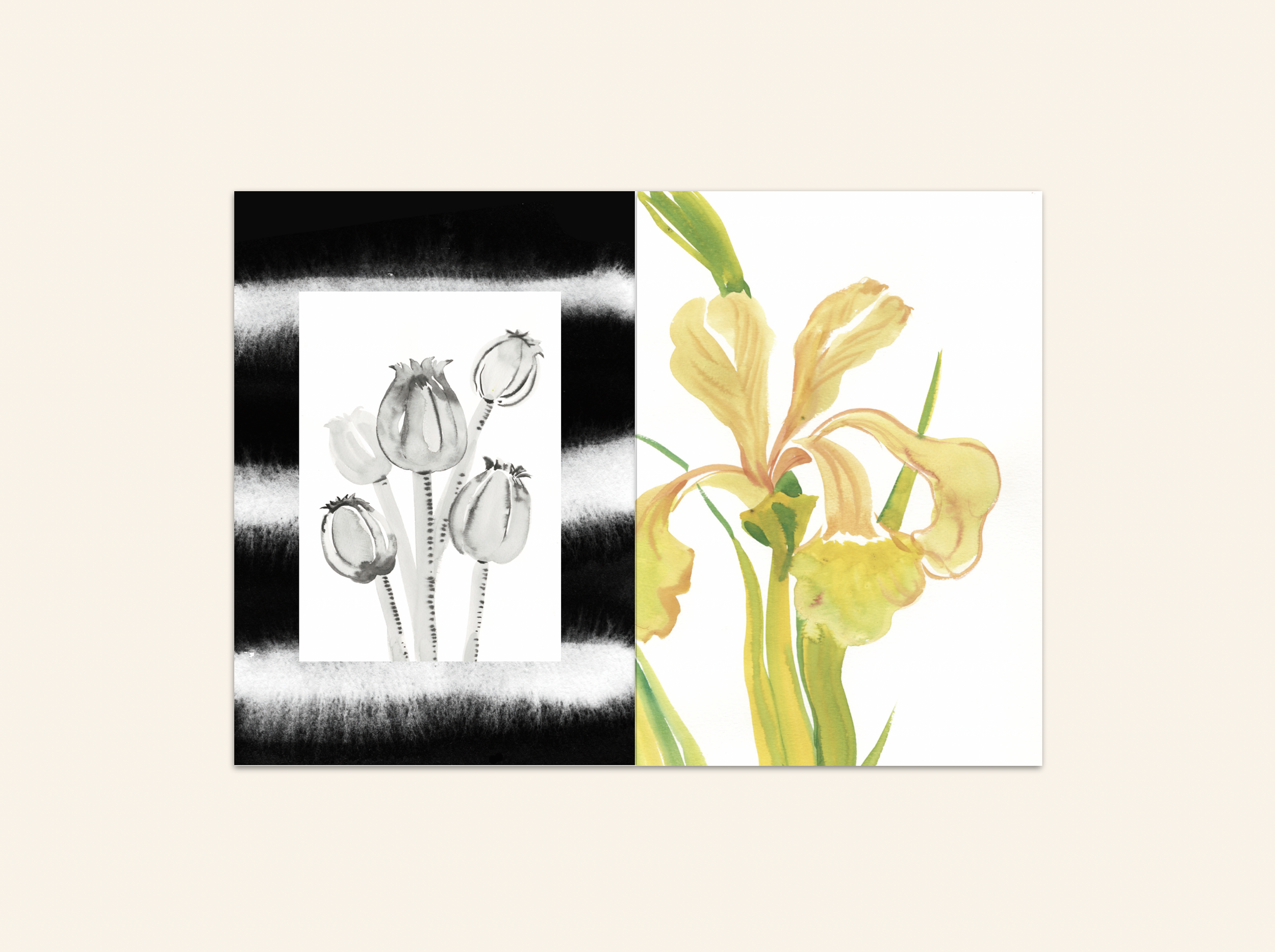 截屏2024-10-10 10.19.36.png