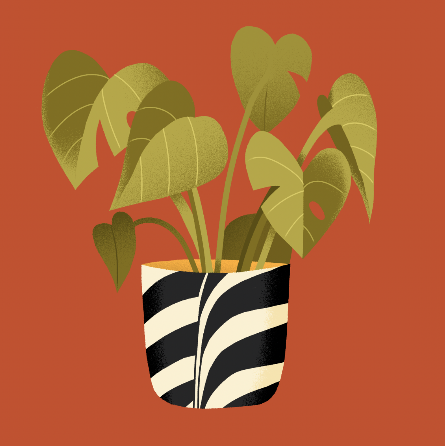 B&B-plant.png