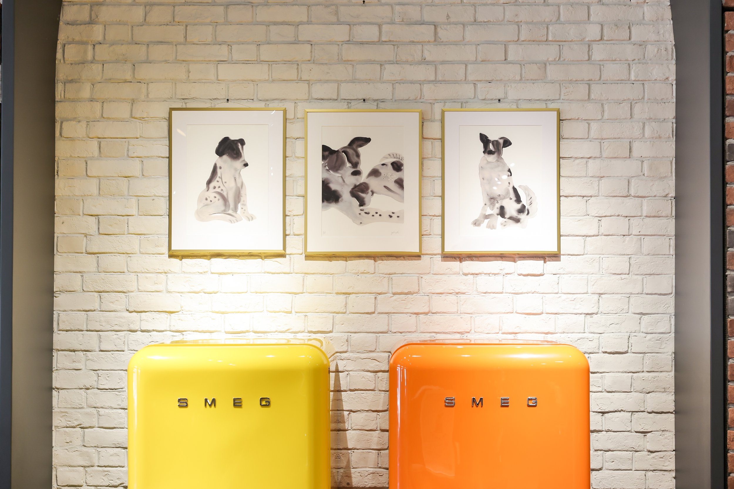 smeg exhibition dog-3.JPG