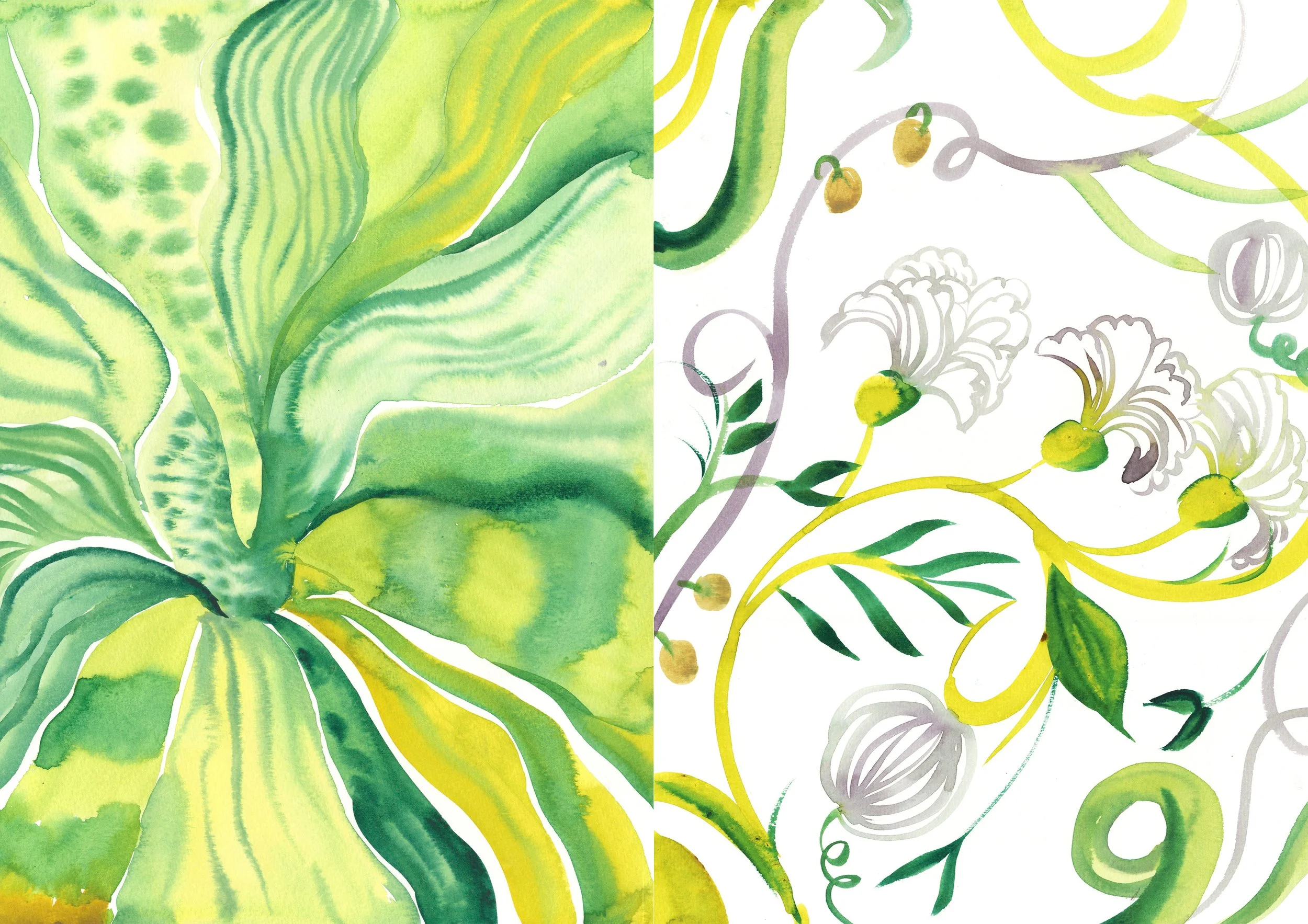 green01.jpg