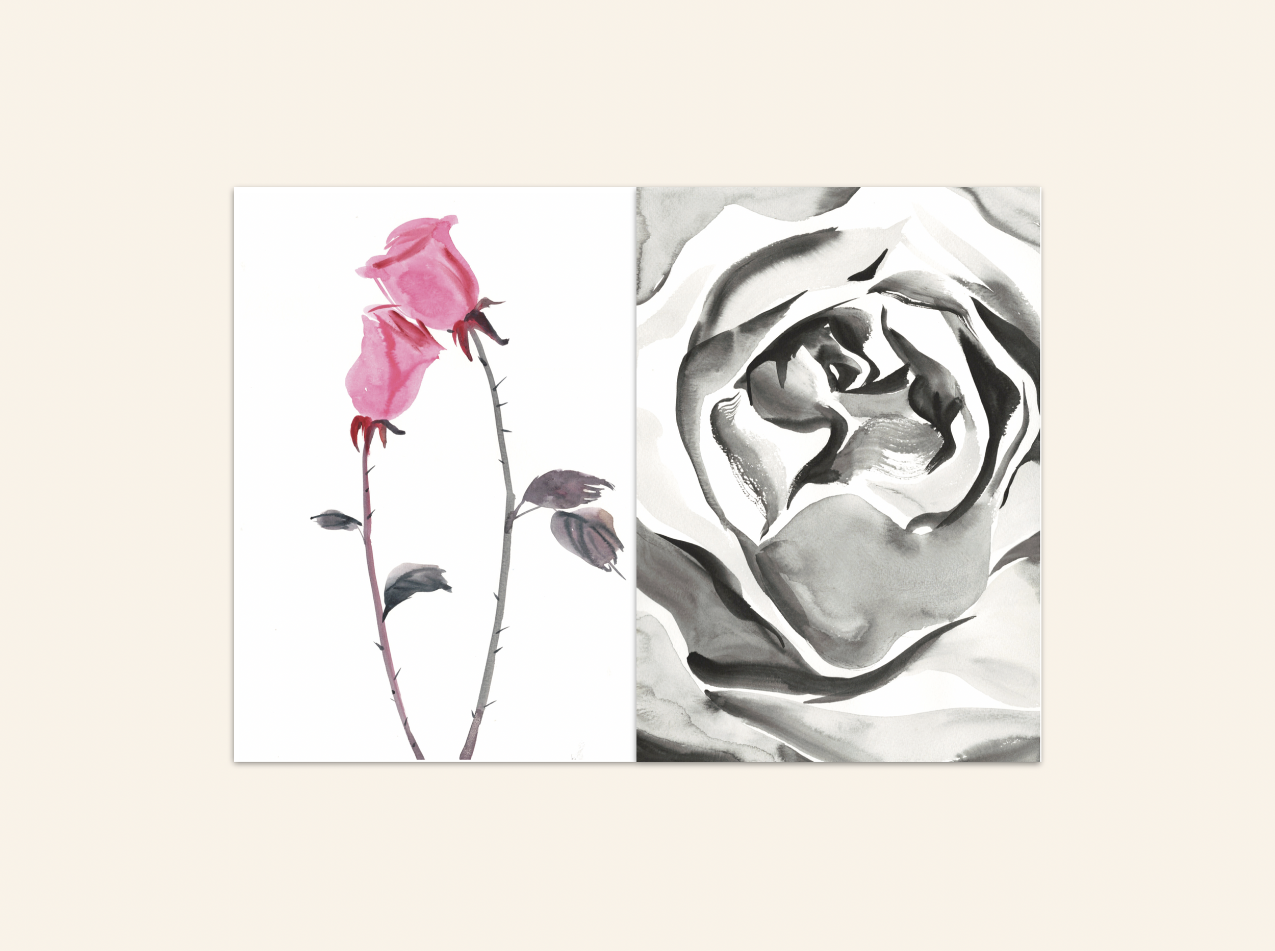 Watercolor | The Beauty of Fragility