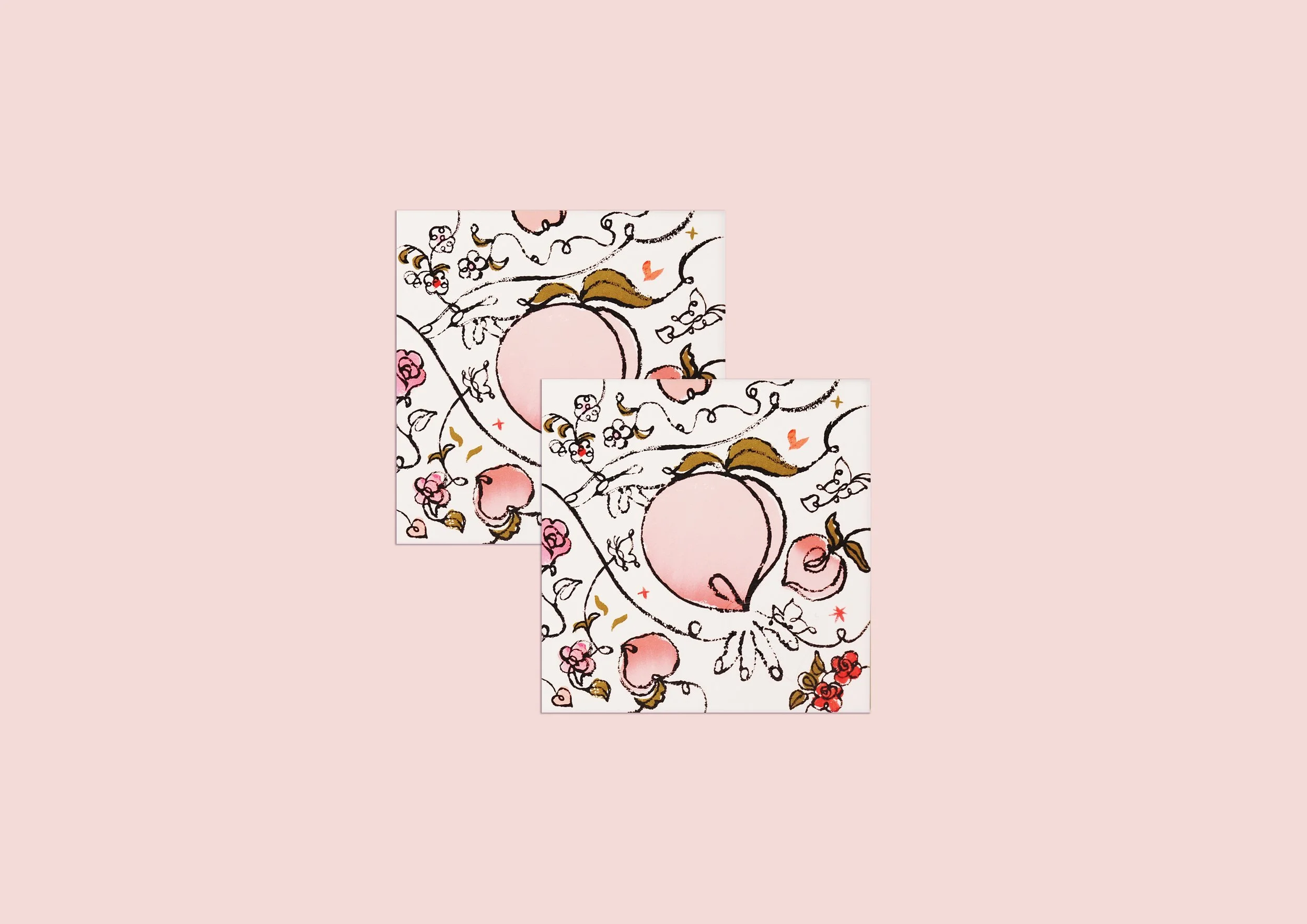 ayra packaging-2.jpg