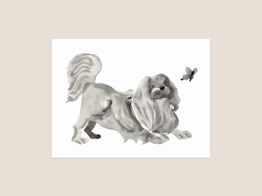 The Lumen Project (Copy) (Copy)