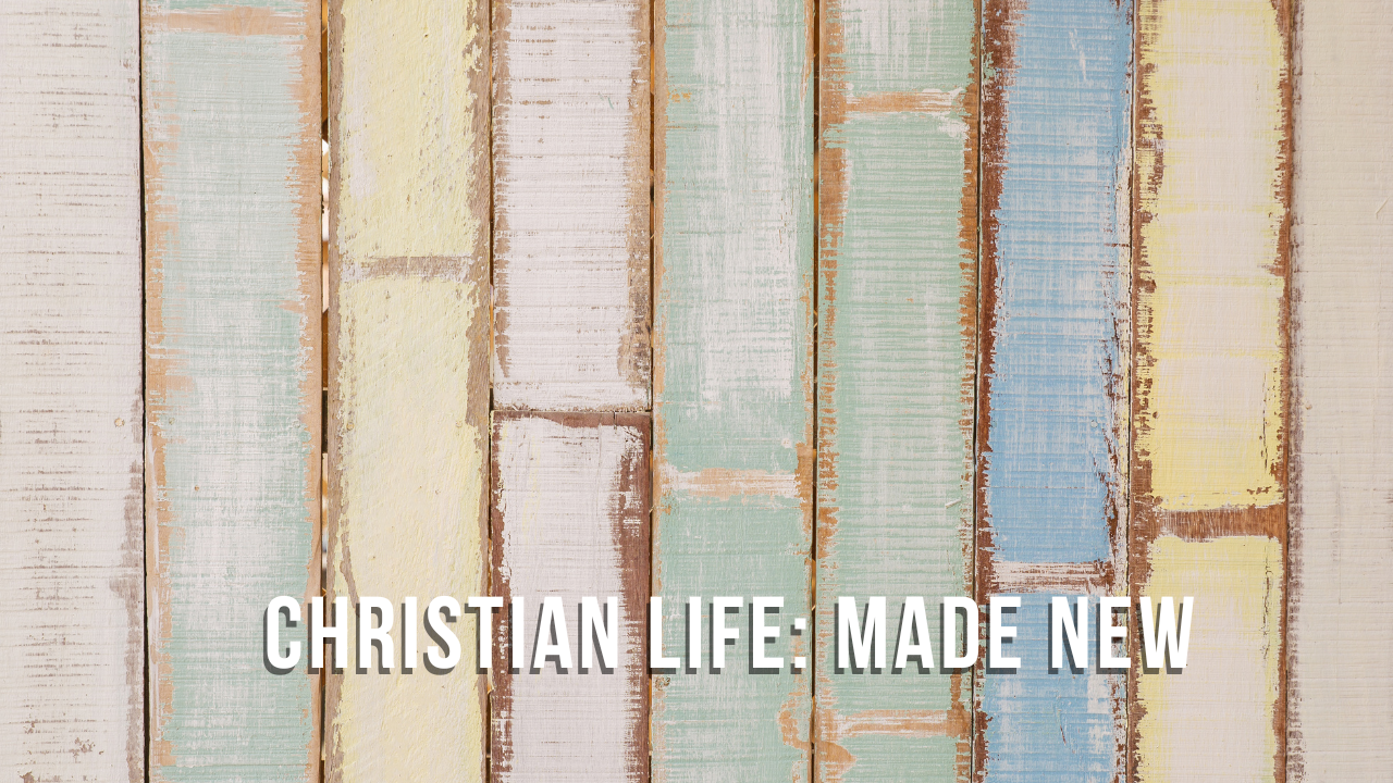 Christian Life: Made New
