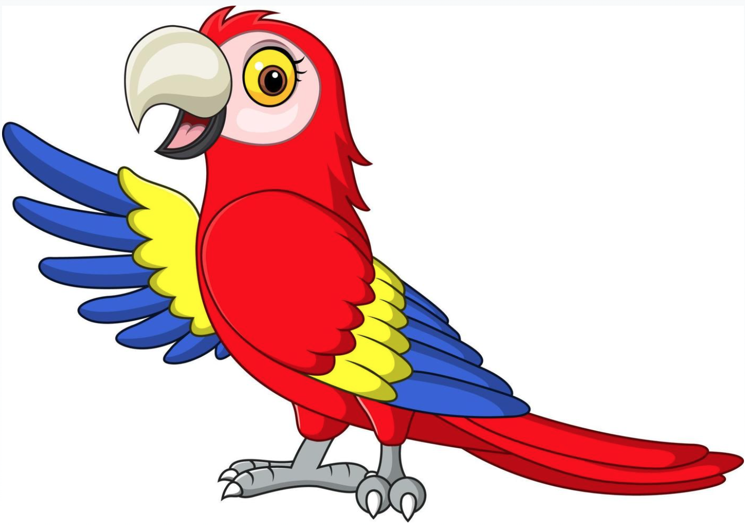 The Missing Parrot
