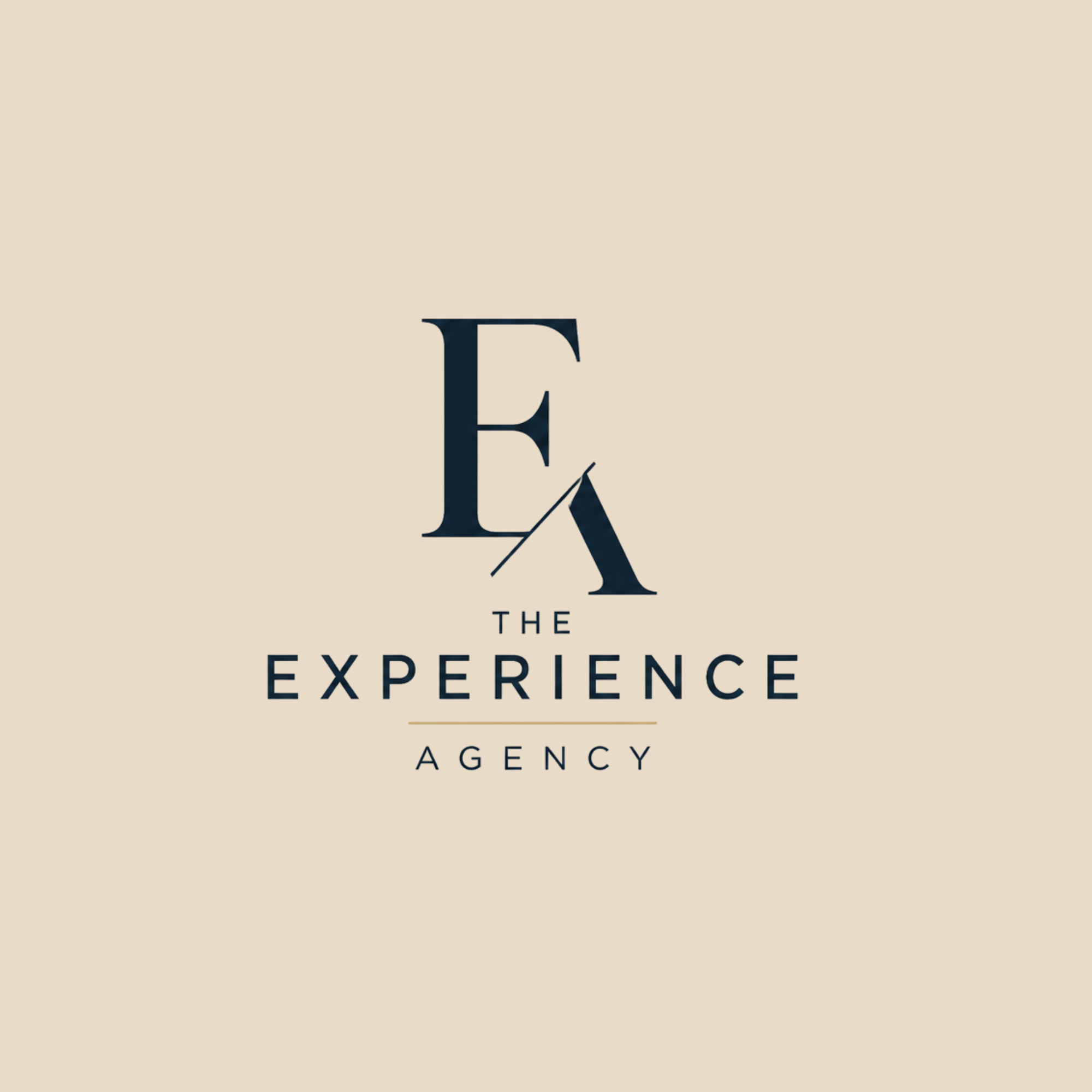 logo the experience agency business case 2