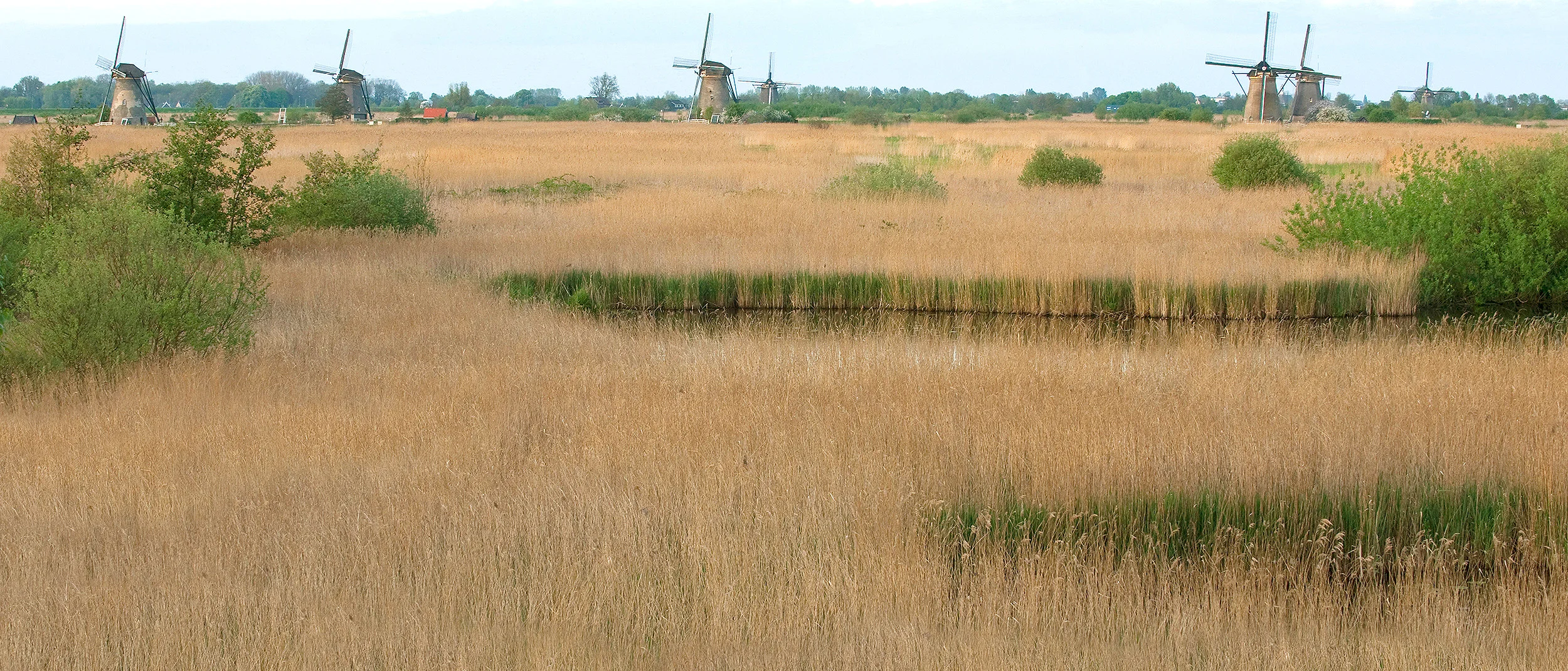 VOOGT-rietdekkers-Delft-rieten-dak-11.jpg