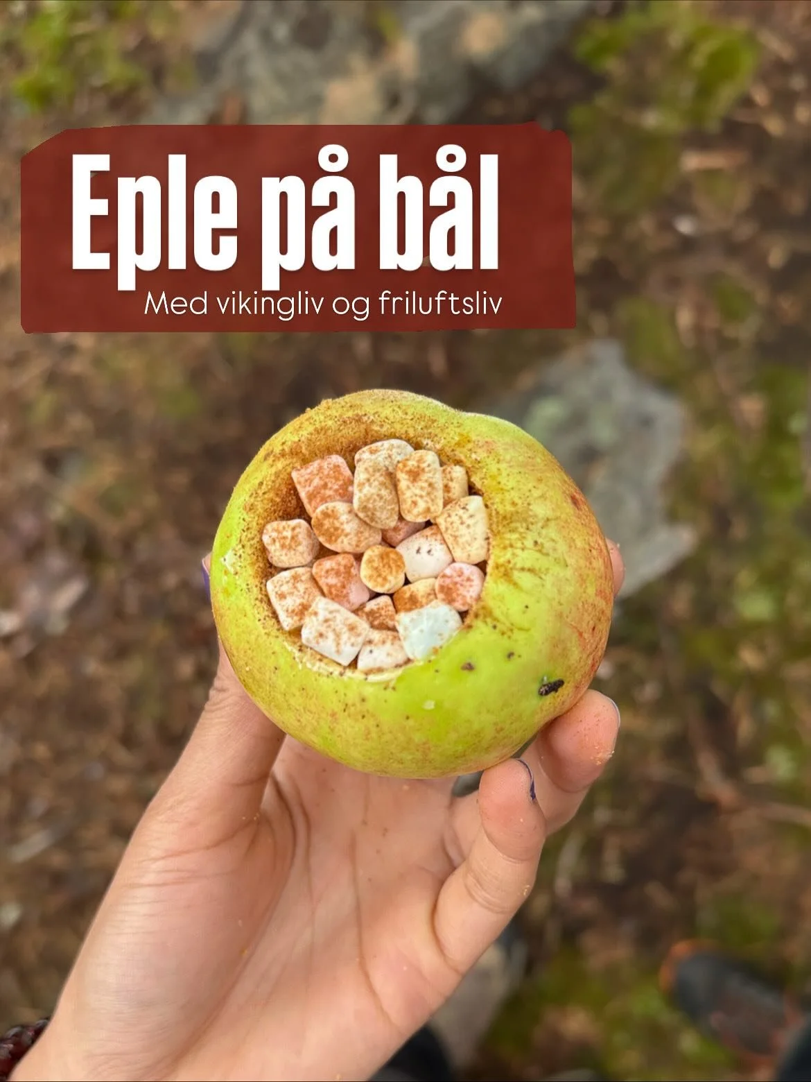 Bakt eple p&aring; b&aring;l er skikkelig enkel og skikkelig digg turmat! 🤩 Her plukka vi med oss epler fr&aring; hagen og tok med p&aring; tur🍏

Framgangsm&aring;te:
1. Grav ut litt av eplekjernen med ei skei eller kniv
2. Fyll med valgfri topping