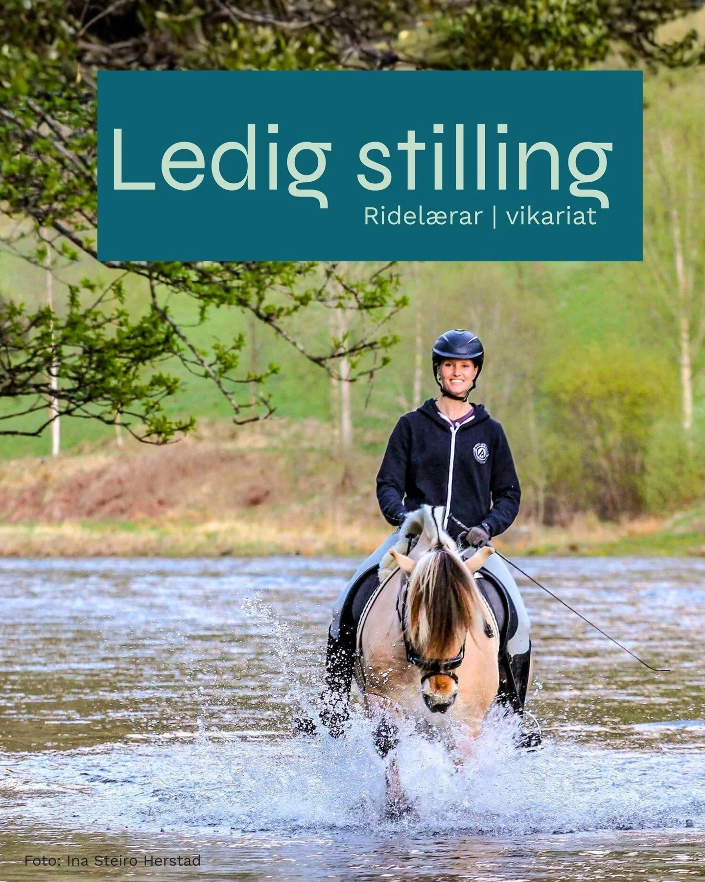 🐴 Vil du jobbe med hest og ungdom?

Fjordane folkeh&oslash;gskule og Norsk Fjordhestsenter p&aring; Nordfjordeid s&oslash;ker ein engasjert og allsidig ridel&aelig;rar i 100 % vikariat fr&aring; no og fram til 31. juli 2025 &ndash; med mulighet for 