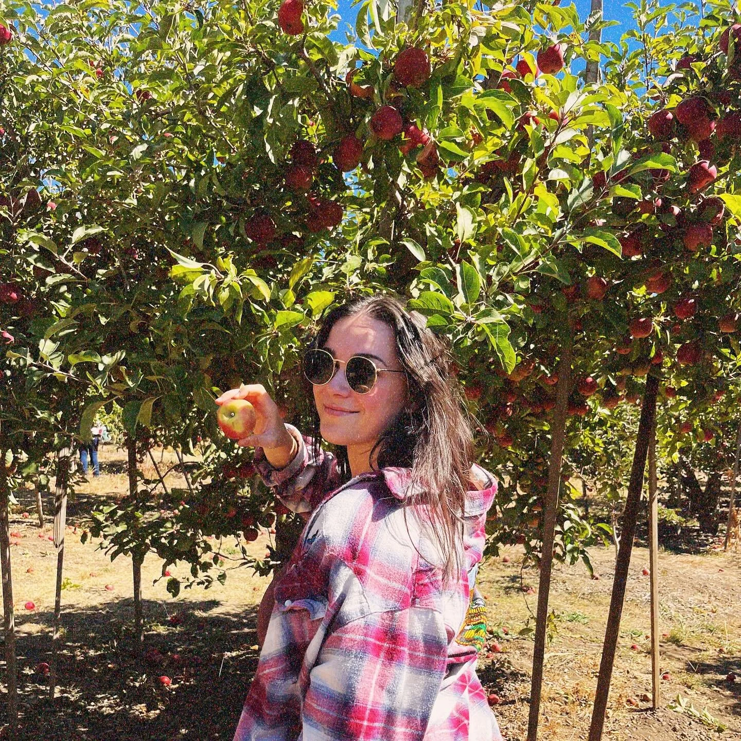 Weekend dump: California edition. Also a reminder to come to @thehotelcafe THIS TUESDAY NIGHT for some all original music 🩷 ticket link in bio!