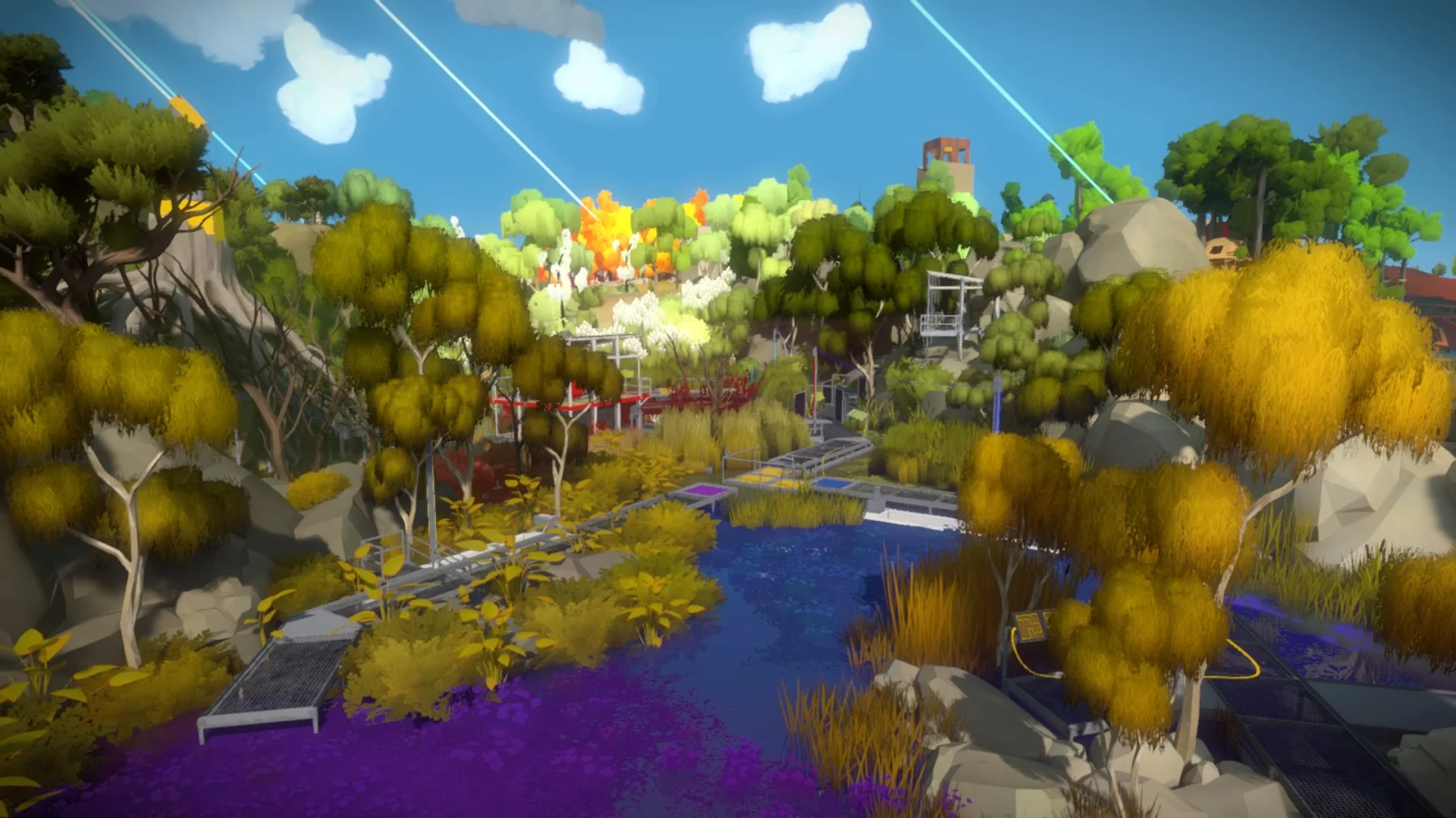 The Witness