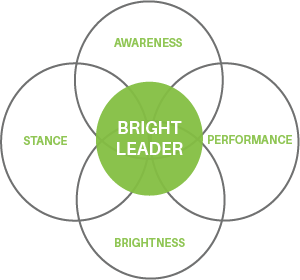 Bright Leader Model plain (1).png