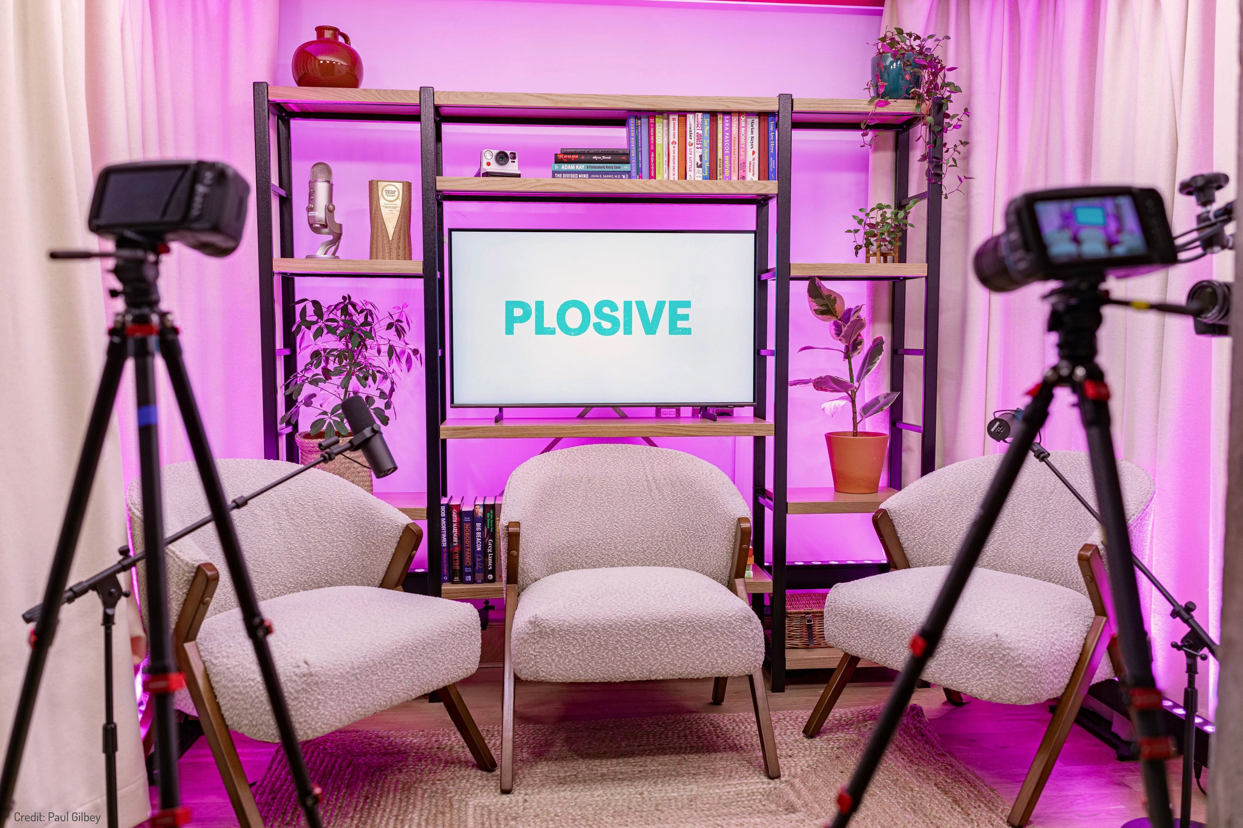  Custom designed professional podcast studio with adjustable lighting, video camera and microphones 