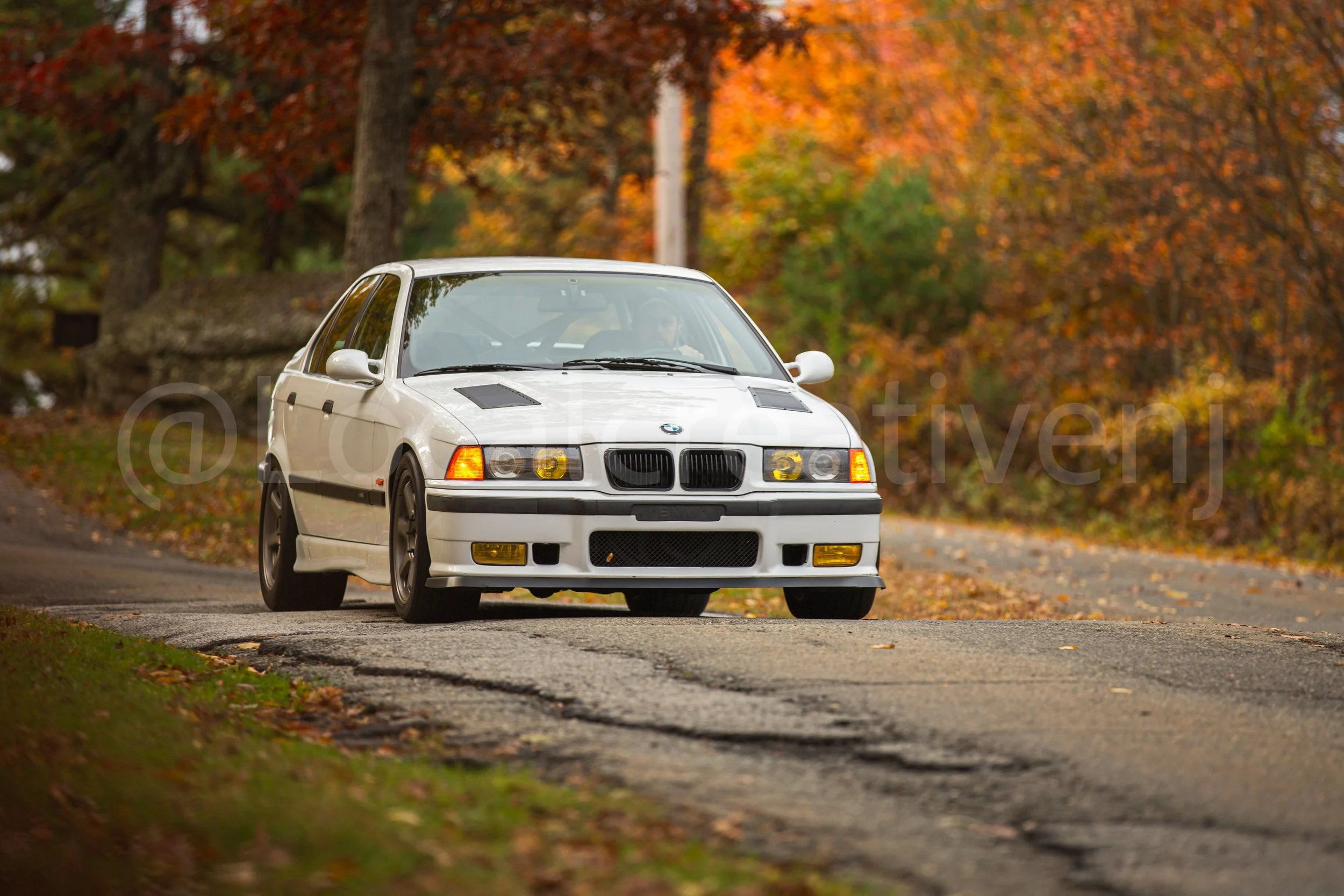 _90A5025-2.jpg