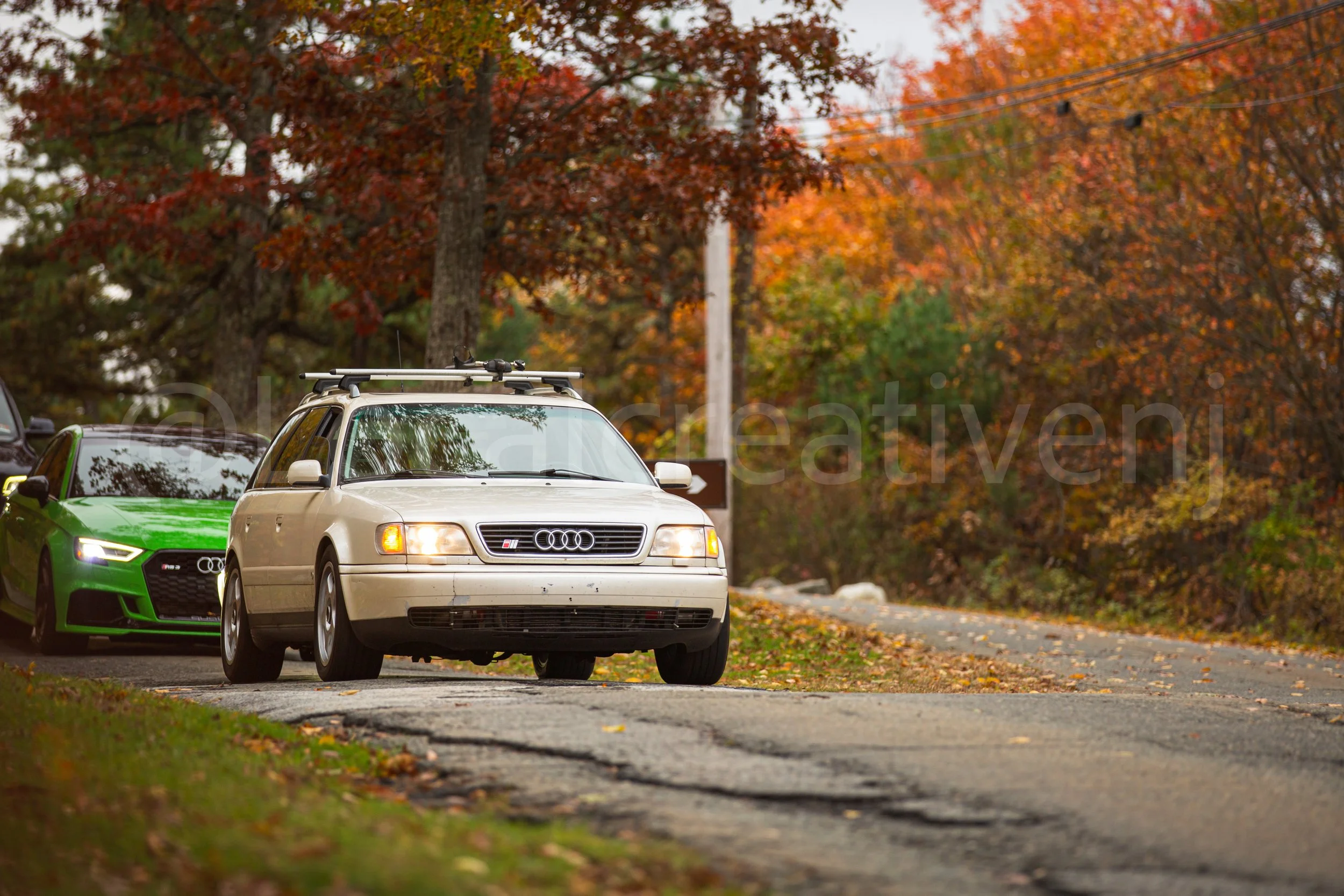 _90A5059-2.jpg