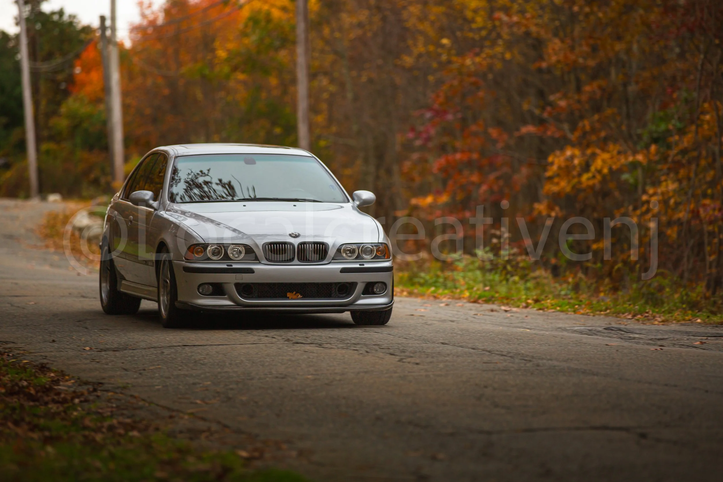 _90A5072-2.jpg