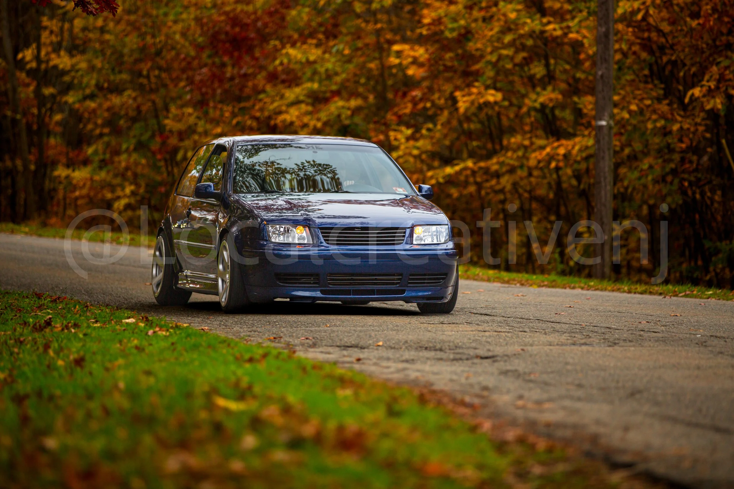 _90A5086-2.jpg