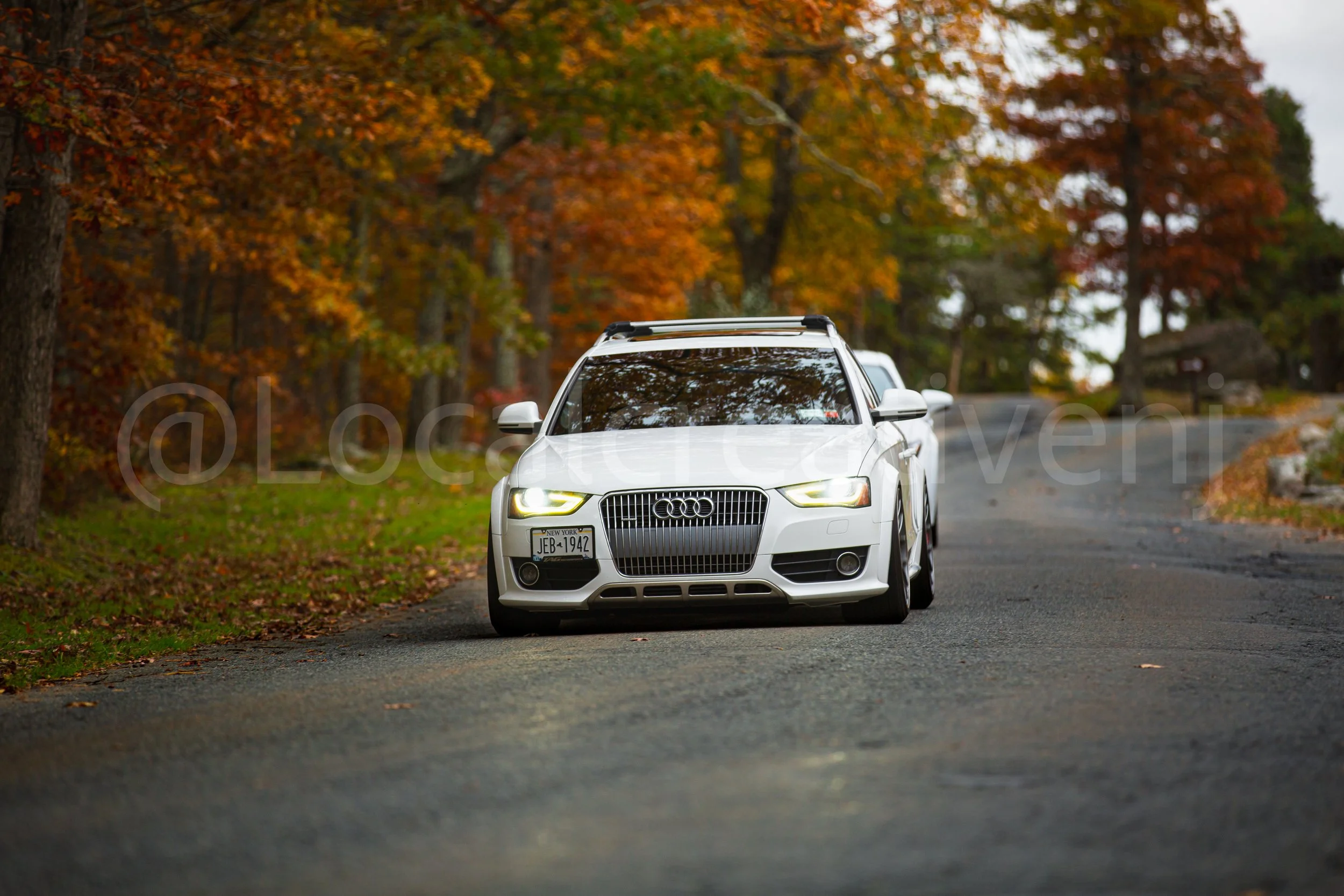 _90A5123-2.jpg