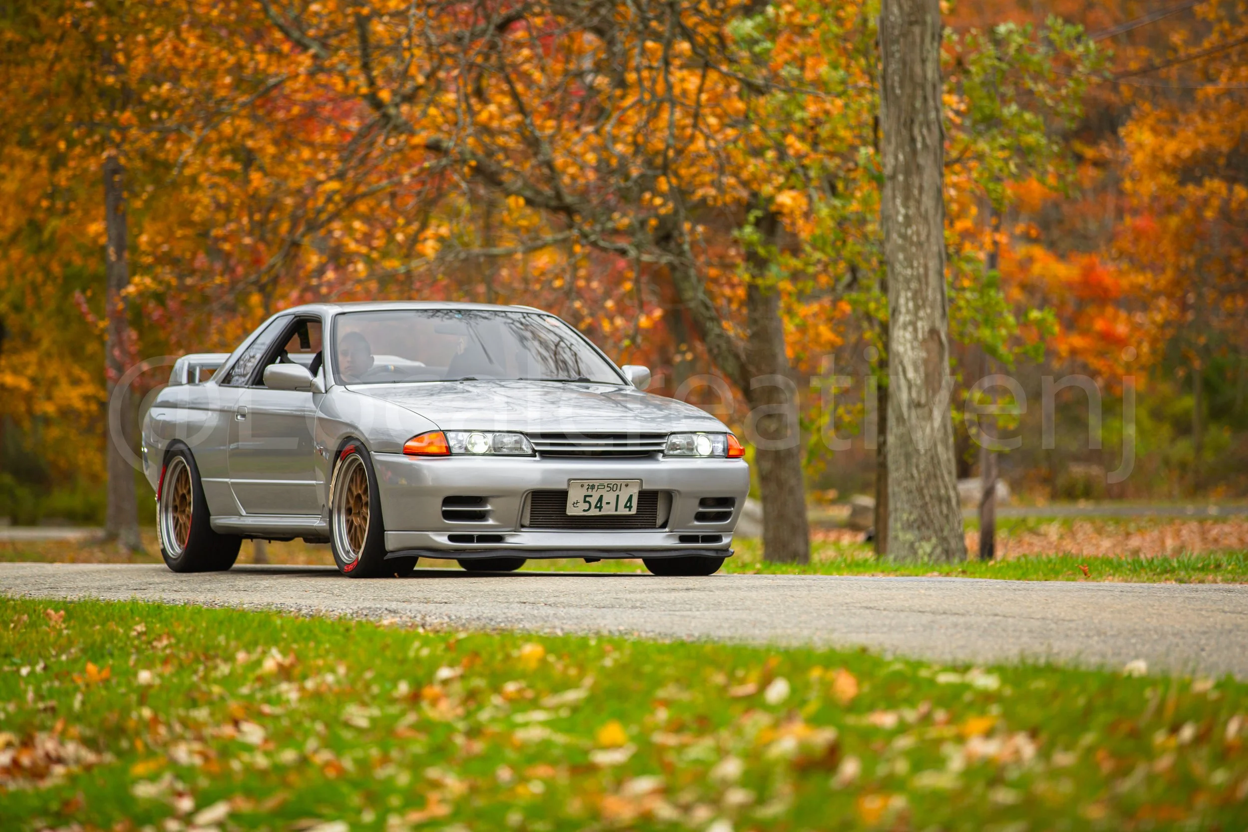 _90A5197.jpg