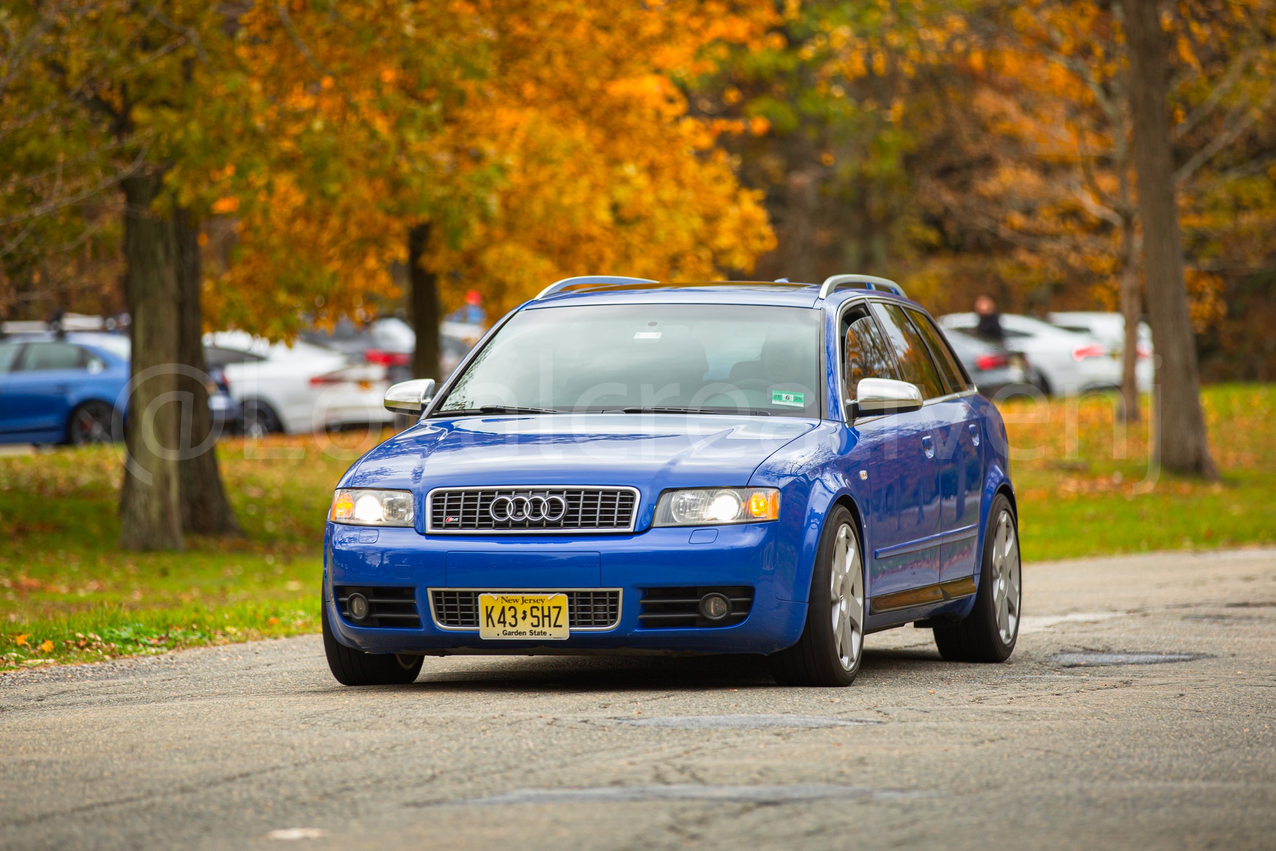 _90A5226-2.jpg