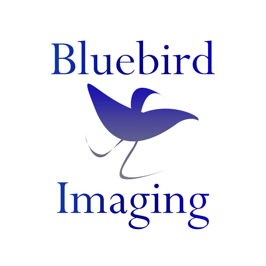 BluebirdImaging.png