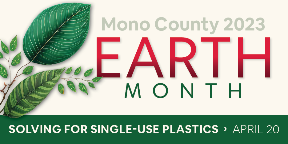 Science to Solutions: Solving for Single-Use Plastics + Microfibers