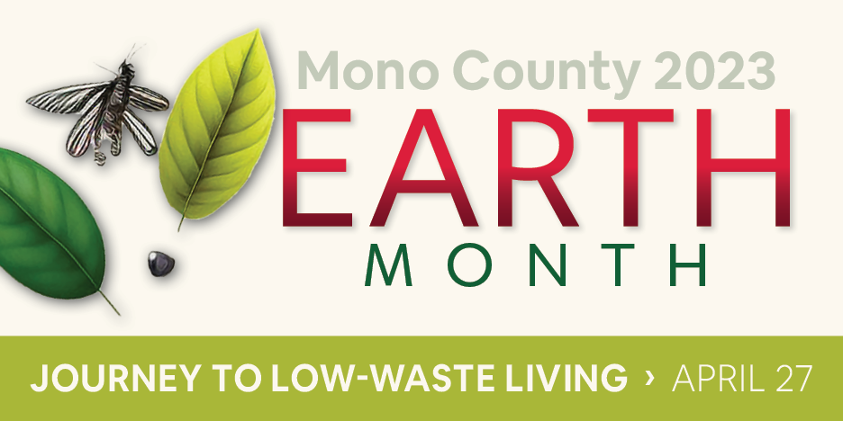 Journey to Low-Waste Living
