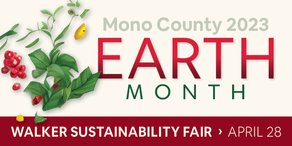 Walker Sustainability Fair