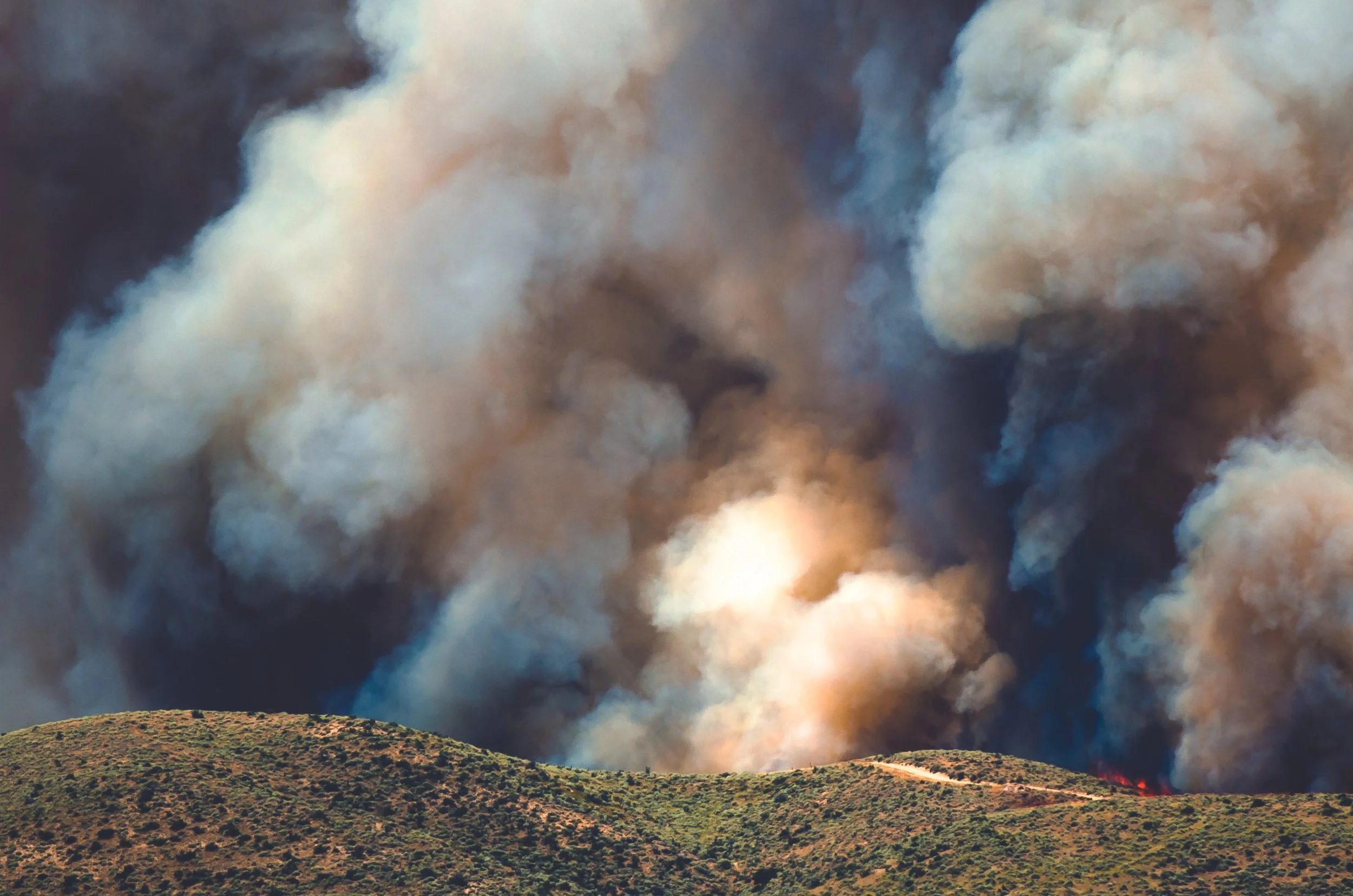 Reducing Exposure to Wildfire Smoke and Air Quality Impacts, Sustainability Series 2024
