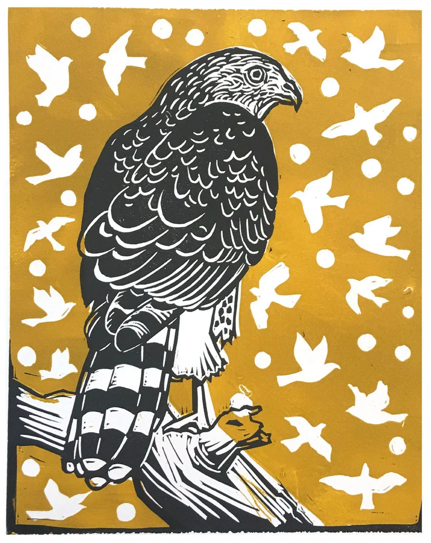 HawkFinal-web.jpg