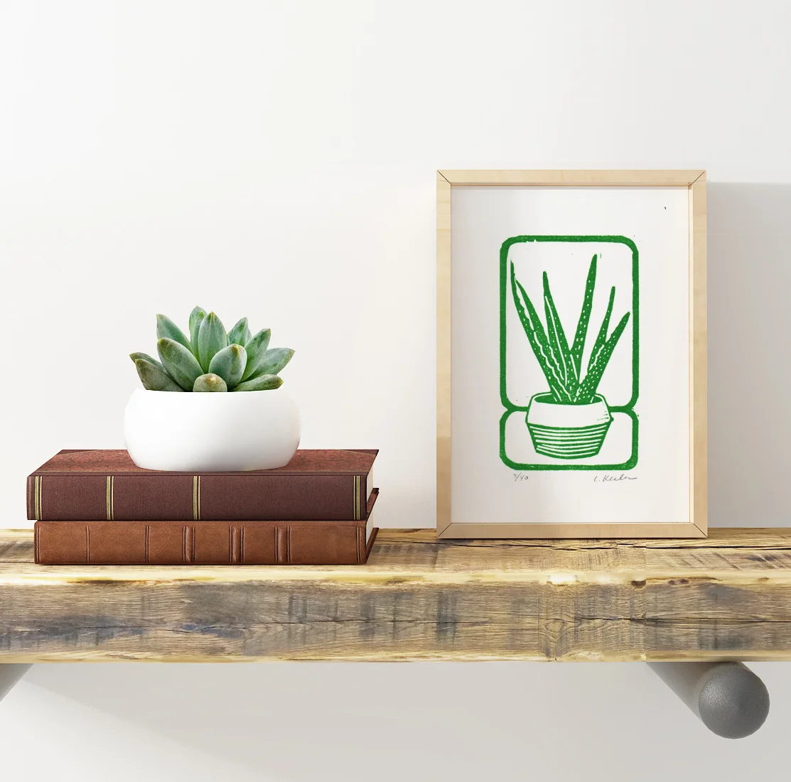 Houselplant8Shelf.jpg