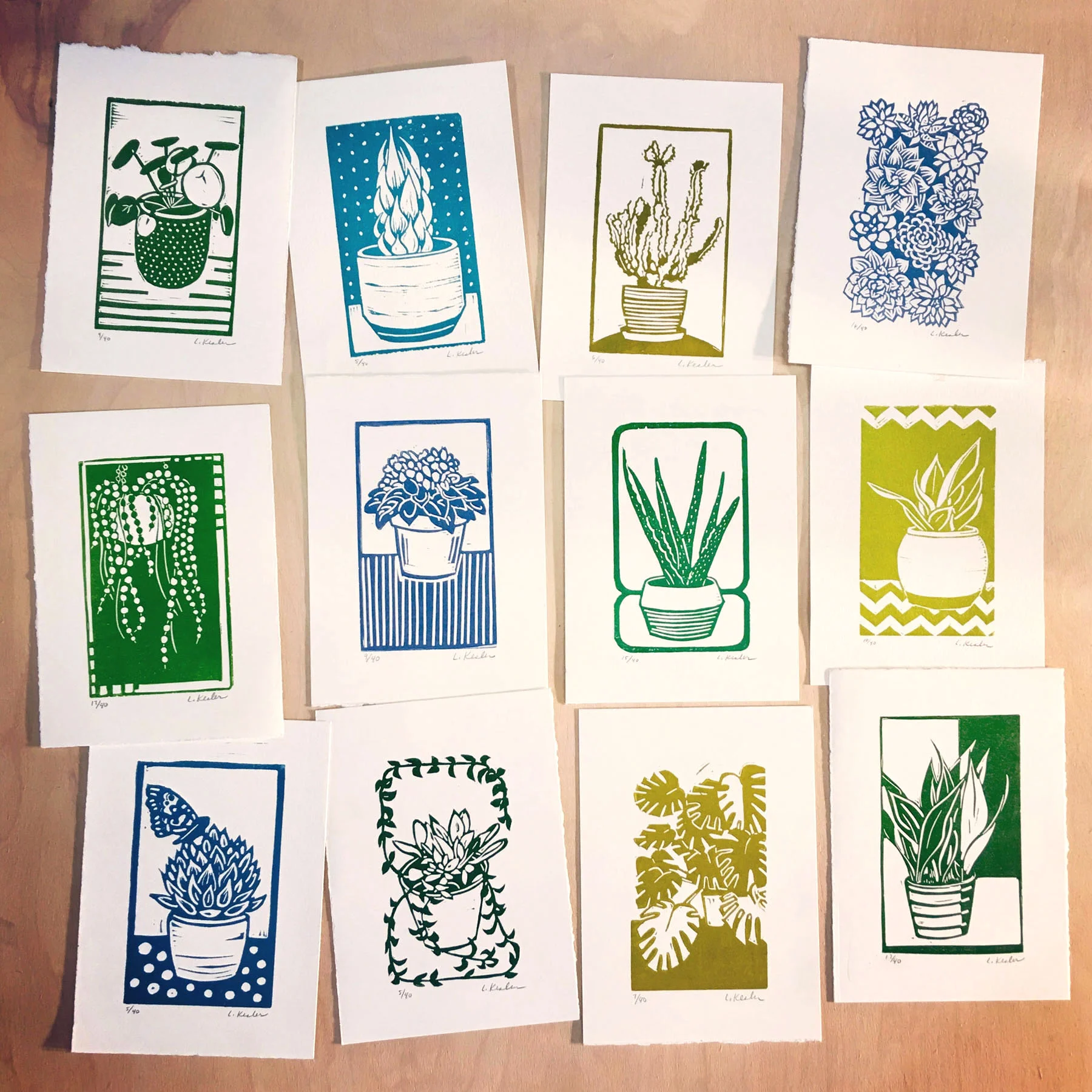 PlantSeries-web.jpg