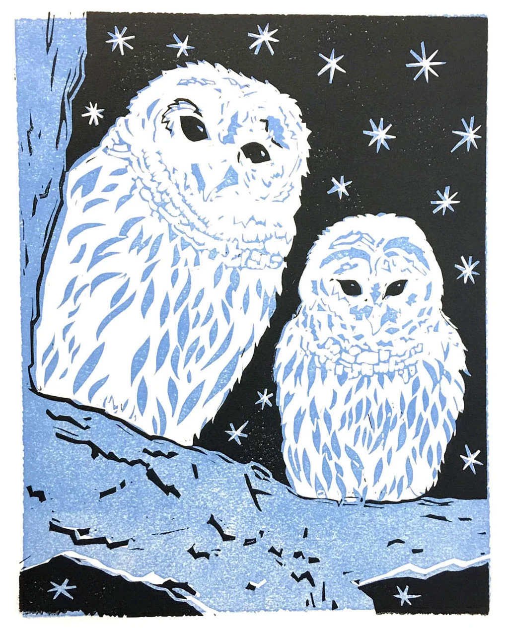 BarredOwls-medres.jpg