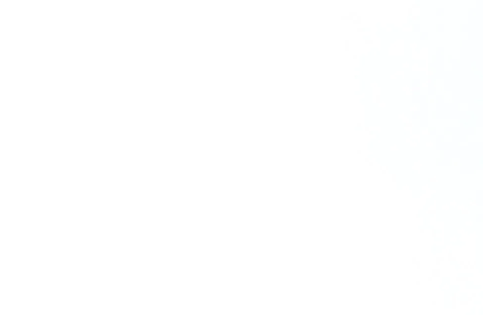 white background 2.JPG