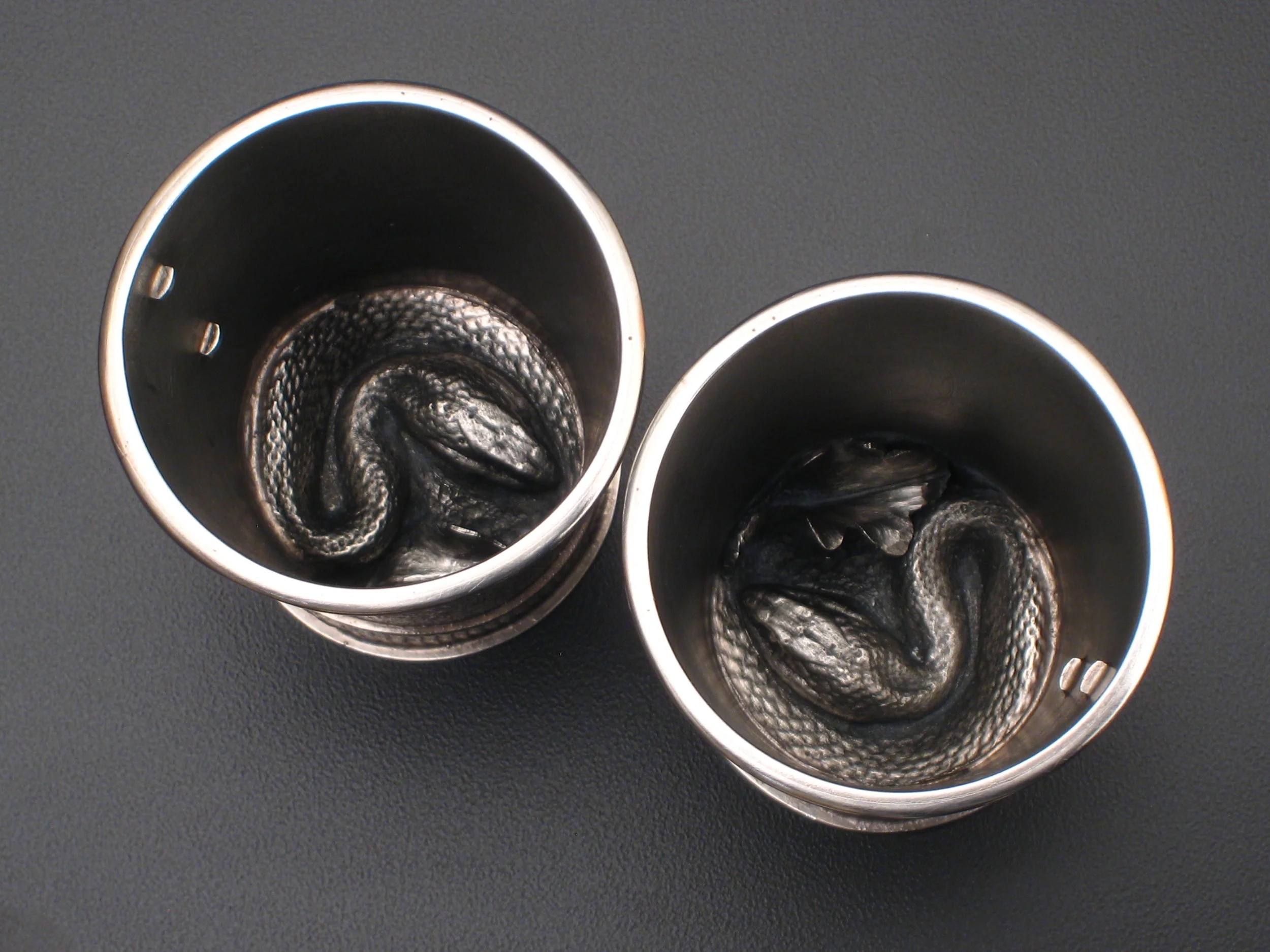 Snake Bite Interior.JPG