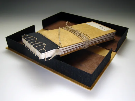 Burden of Flight in Box sm.JPG