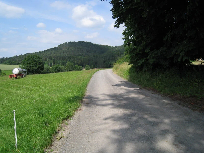 "Walk &amp; Talk" oder "Mit Abstand die beste Beratung"