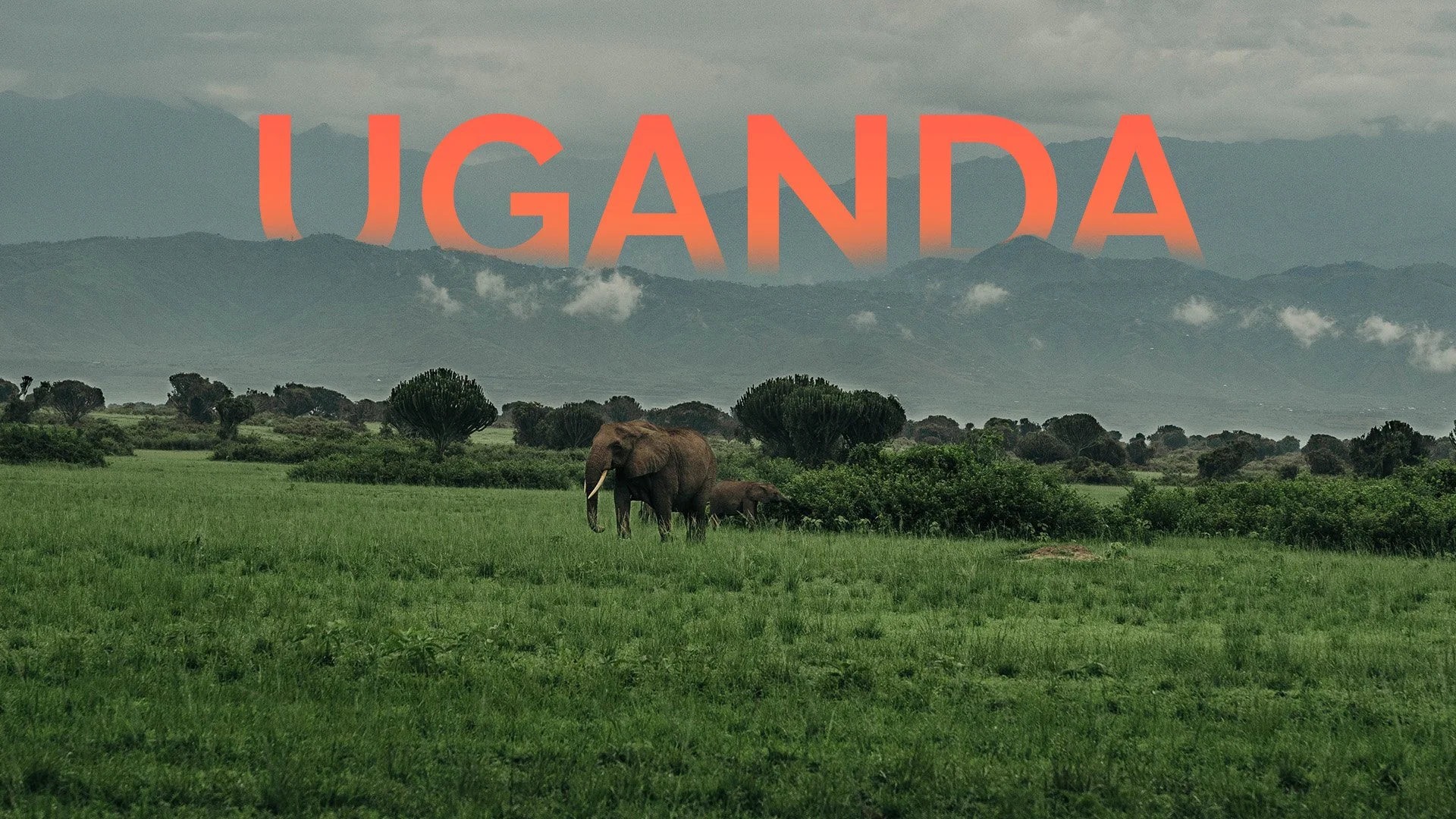Uganda - The Pearl Of Africa (Copy)