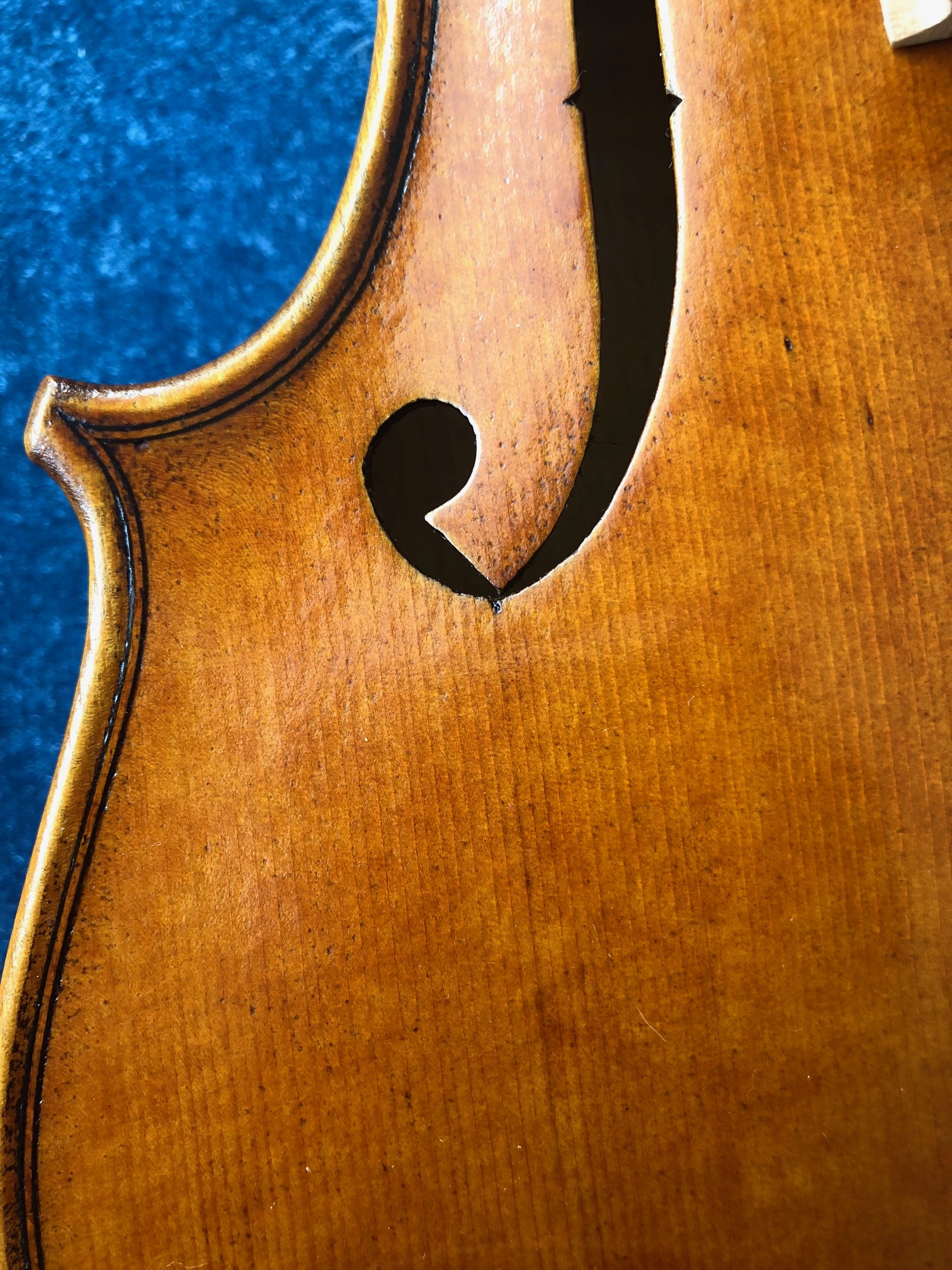 SmartViolinist.com Smart Violins and Fittings