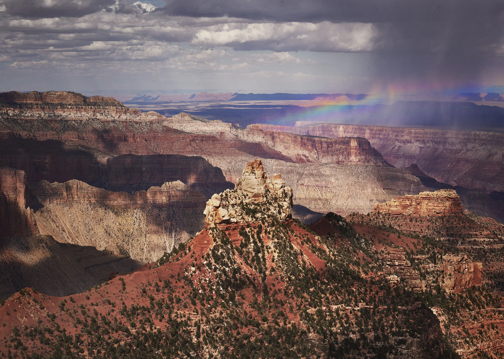 _DSC4716_F1_RGB.jpg