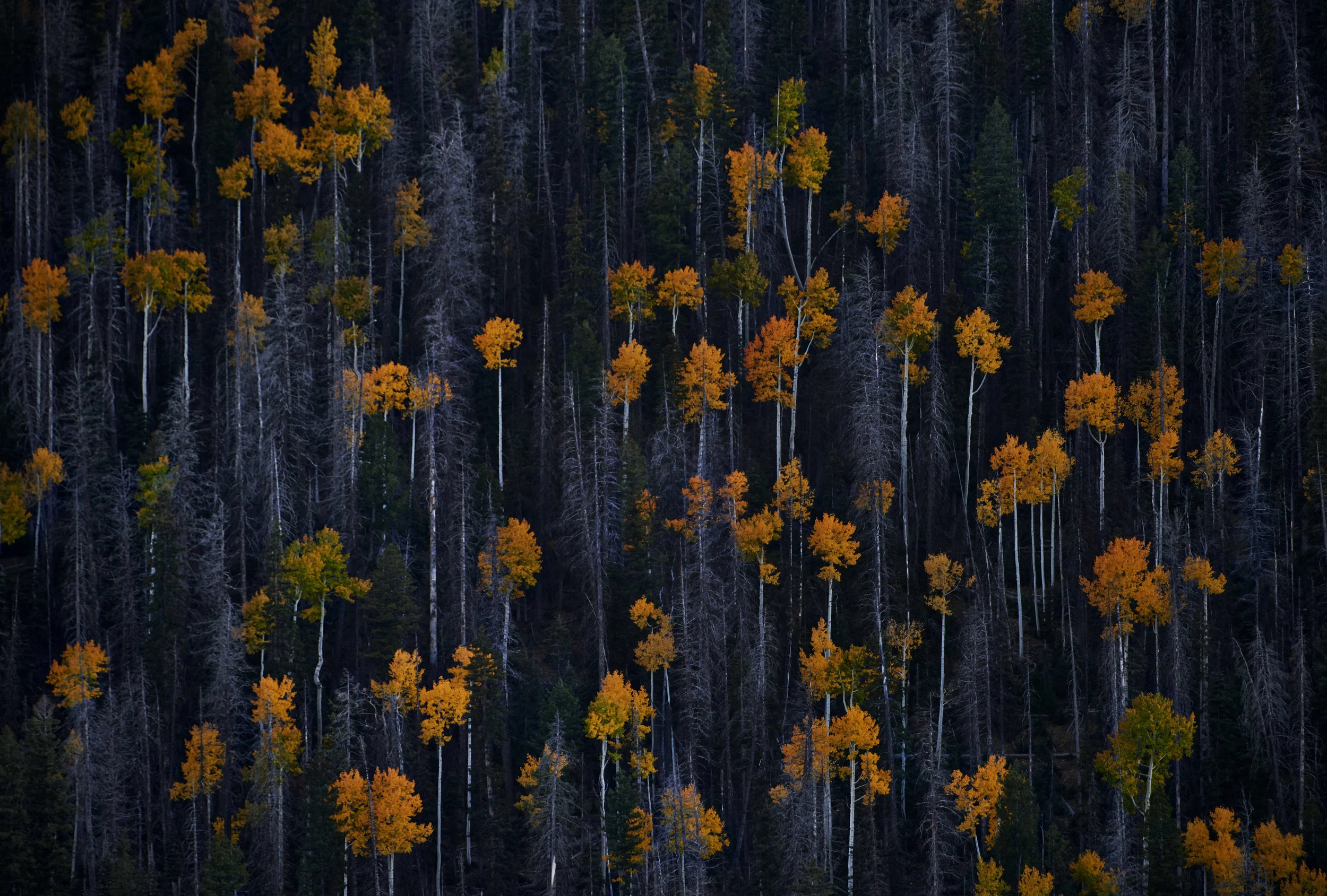 Navajo Lake, Utah, USA. A 400mm Super Telephoto on a full frame DSLR body allowed me to isolate this scene, which was close to a Kilometre away from my shooting position.