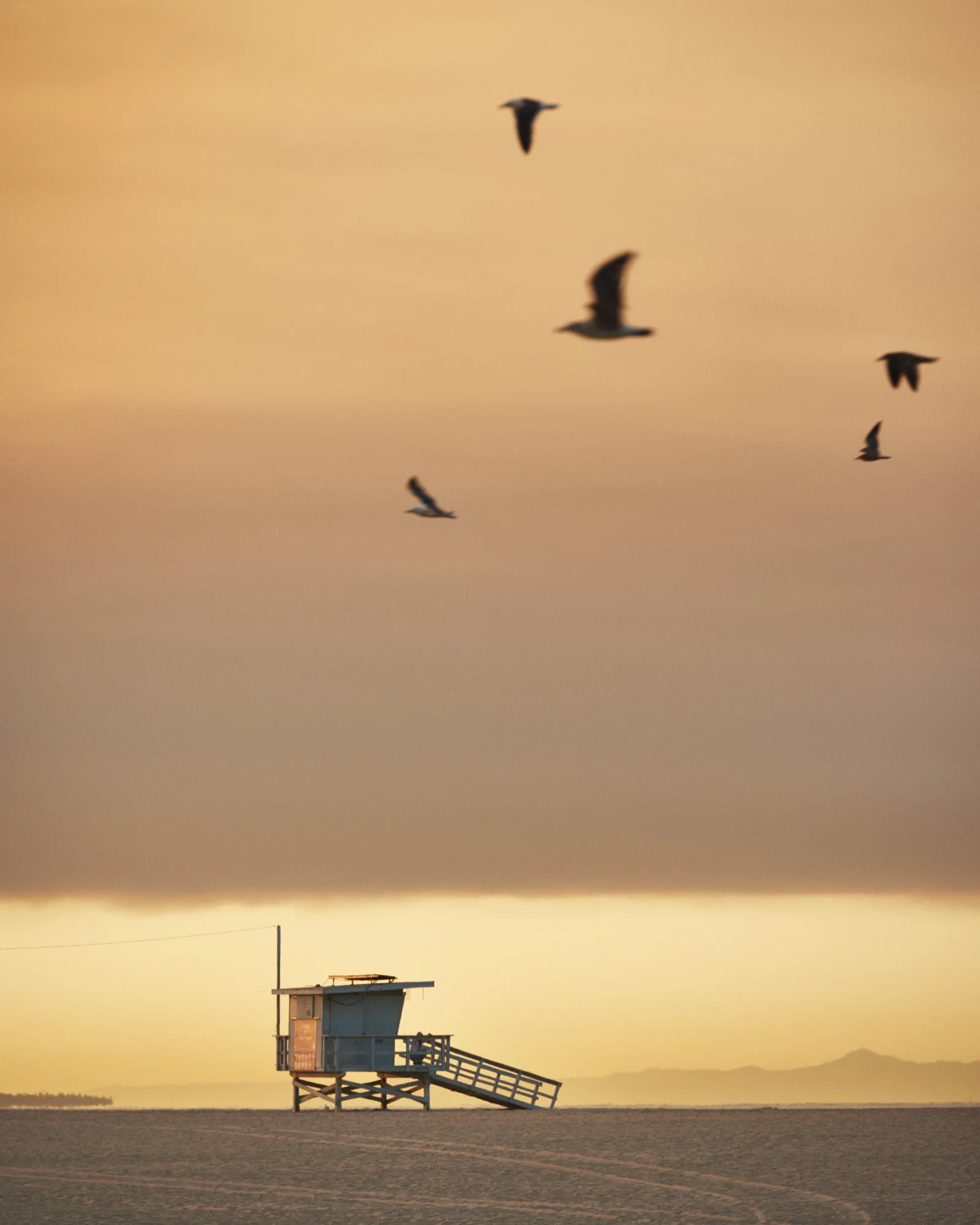 Venice Beach, California