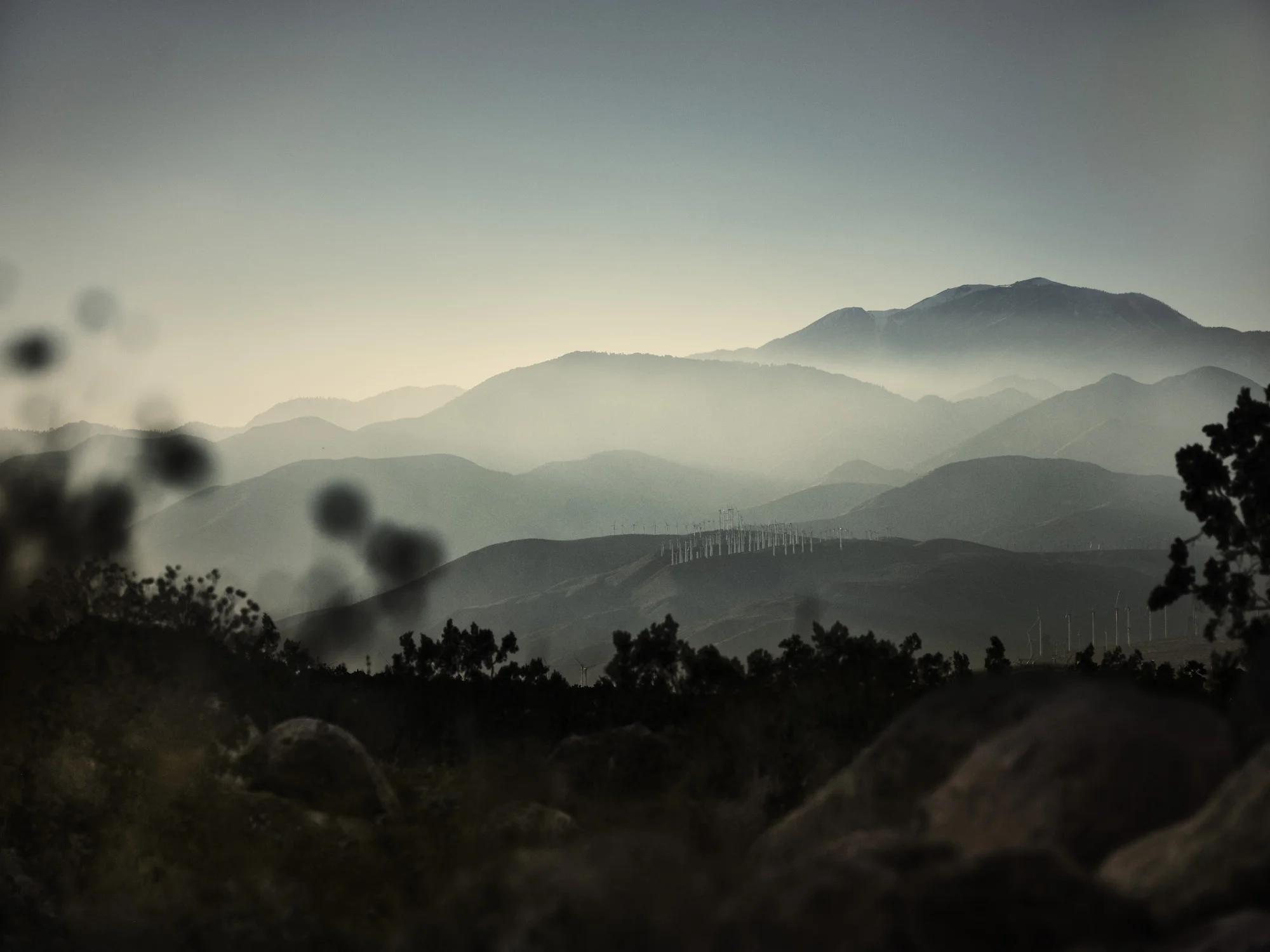 Palm Desert, California