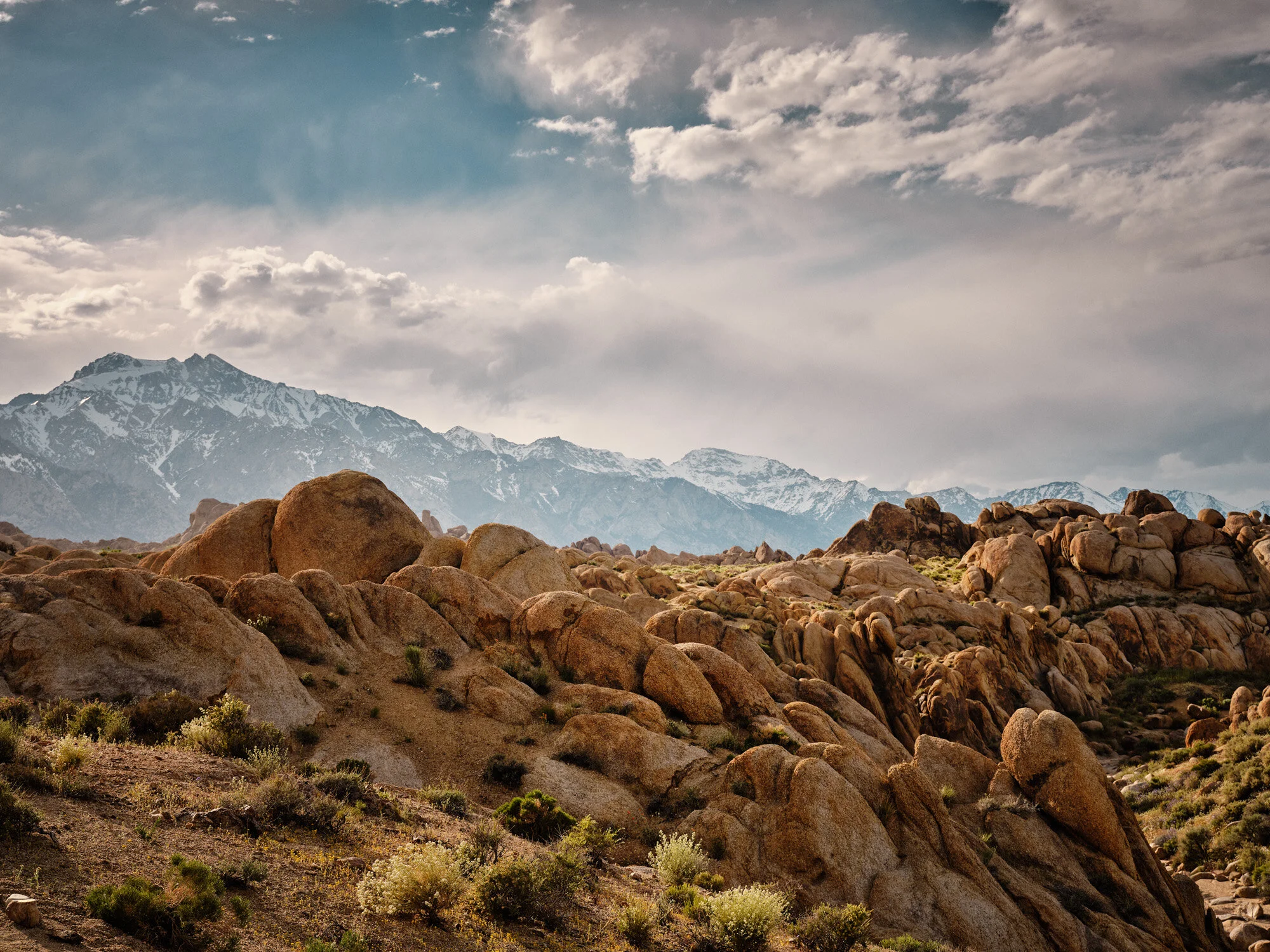 FM1294_DSF3732_F1_RGB.jpg