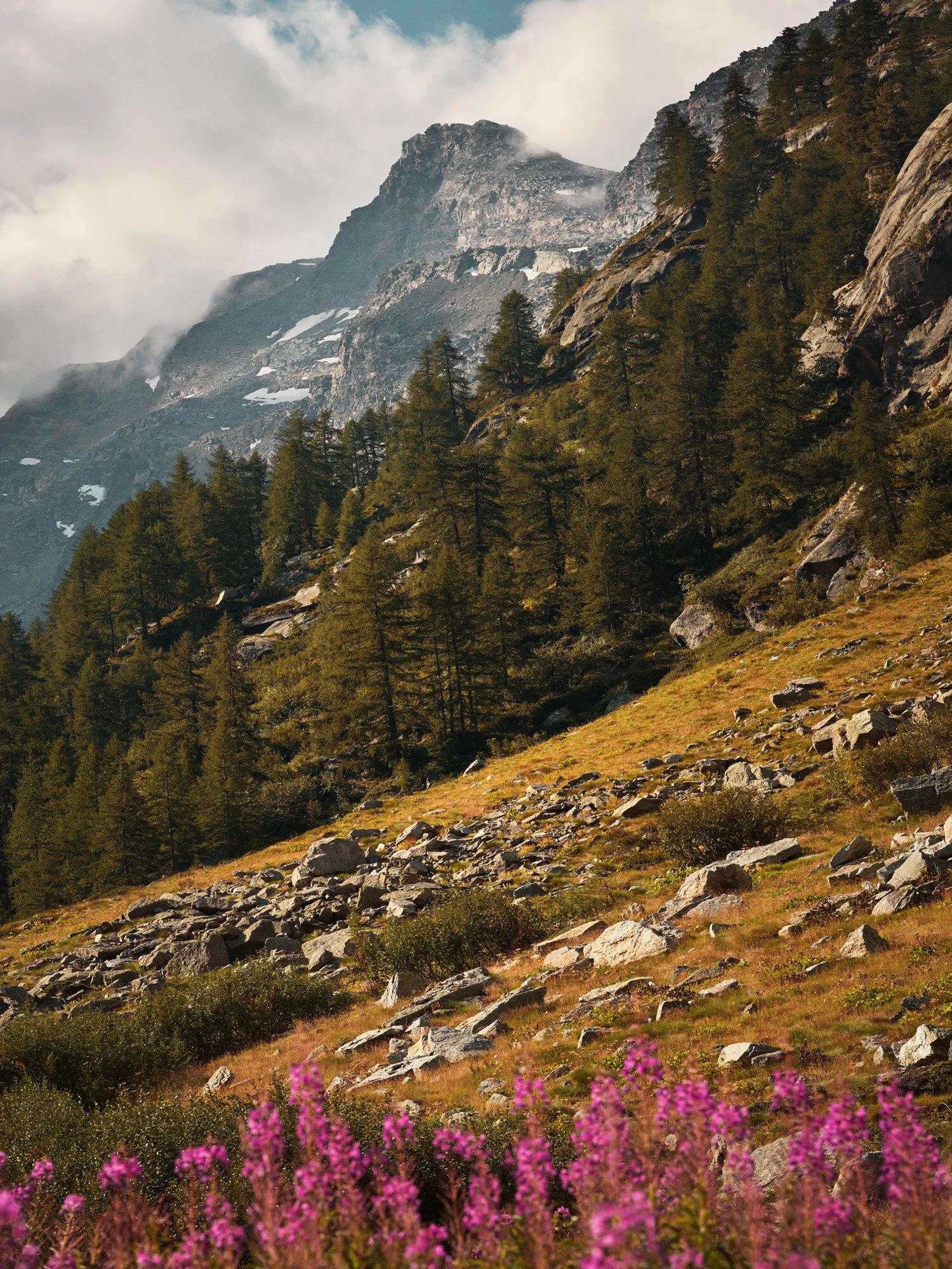 FM1295_FMD6700_F1_RGB.jpg