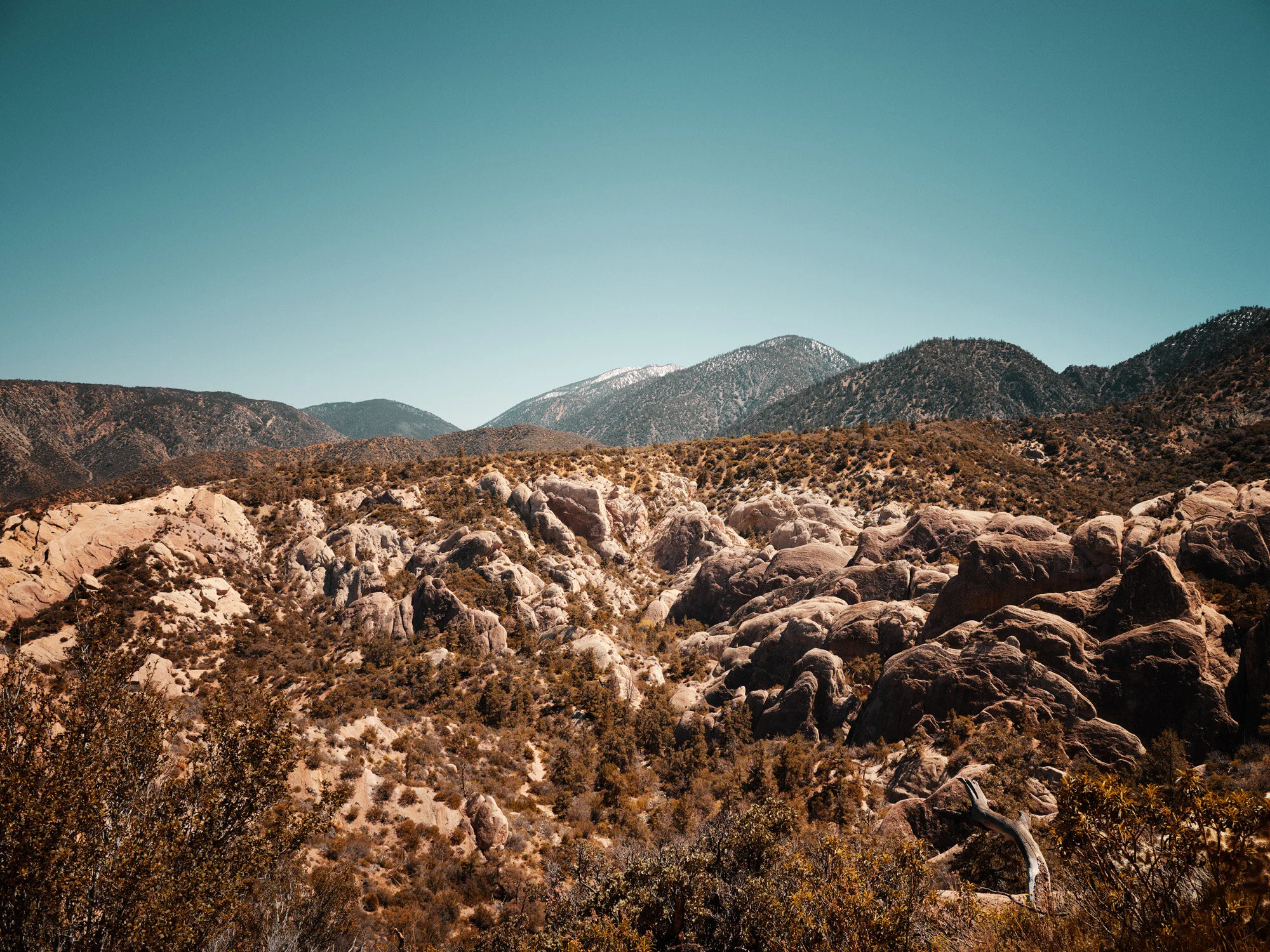 FM1296_DSF2829_F1_RGB.jpg