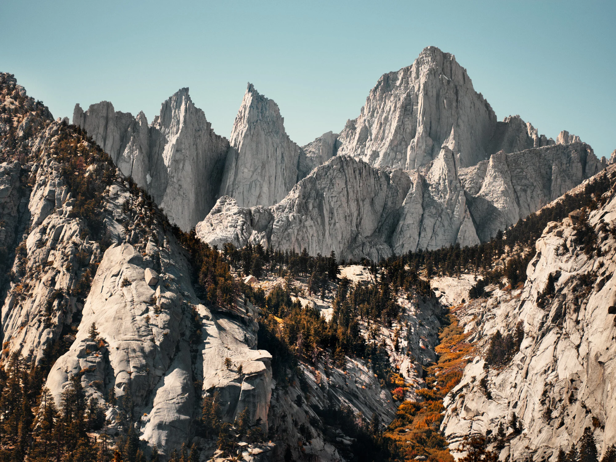 FM1302_DSF0890_F1_RGB.jpg