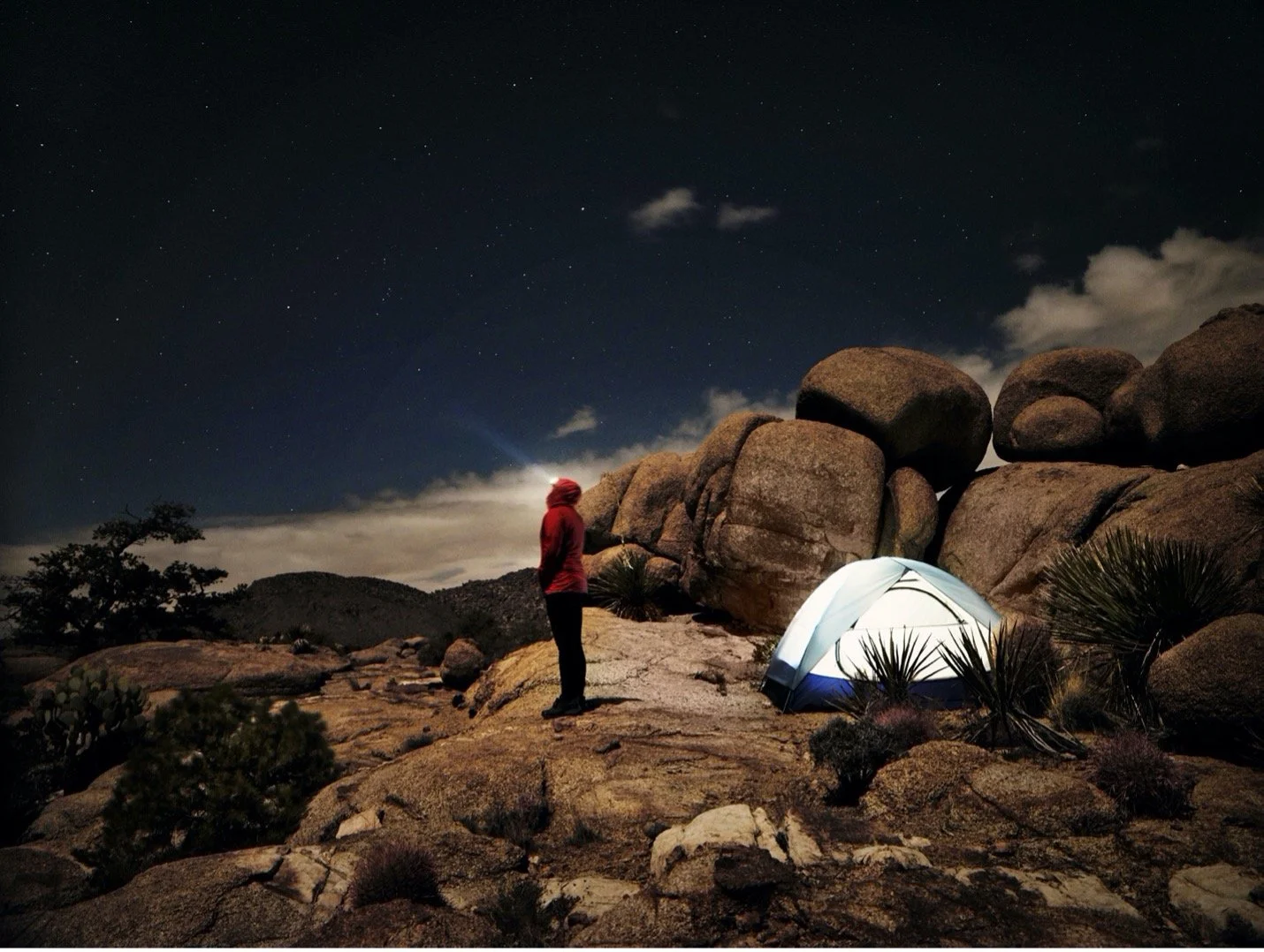 Why Walking at Night Can Improve Your Mood + Tips to Enjoy Safely